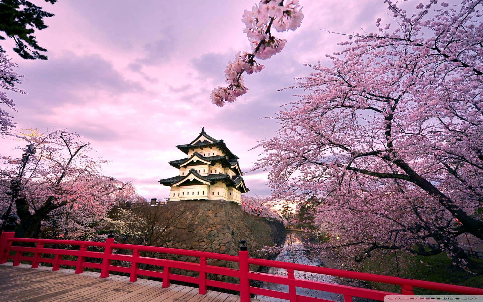 A Vibrant Burst Of Colors Enveloping A Picturesque Japanese Pink Landscape. Background