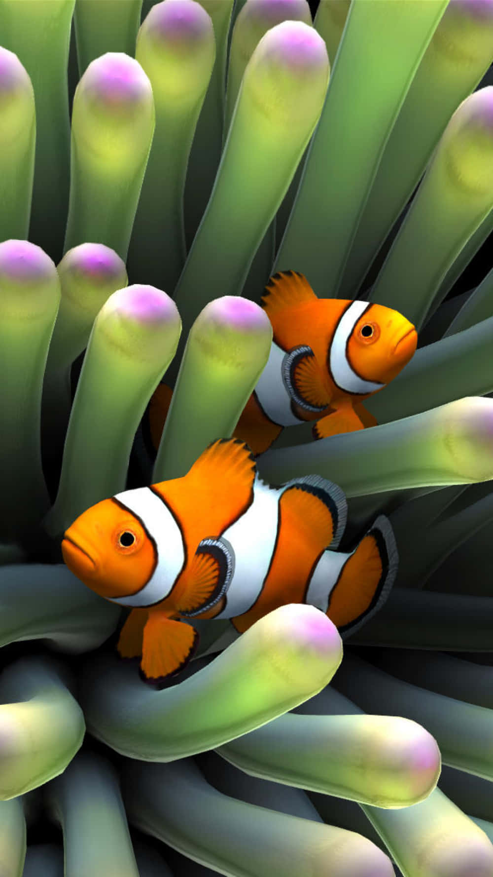 A Vibrant Clown Fish Swimming Amidst An Aquarium Of Vibrant Coral Background
