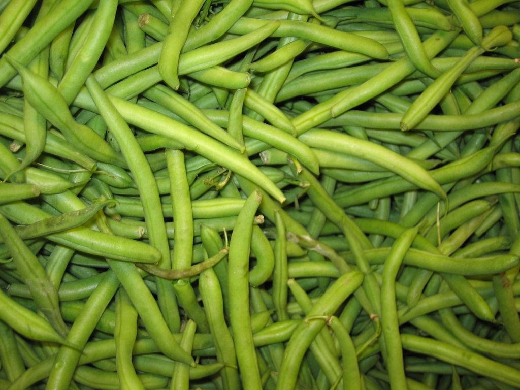 A Vibrant Collection Of Fresh Green Beans Background