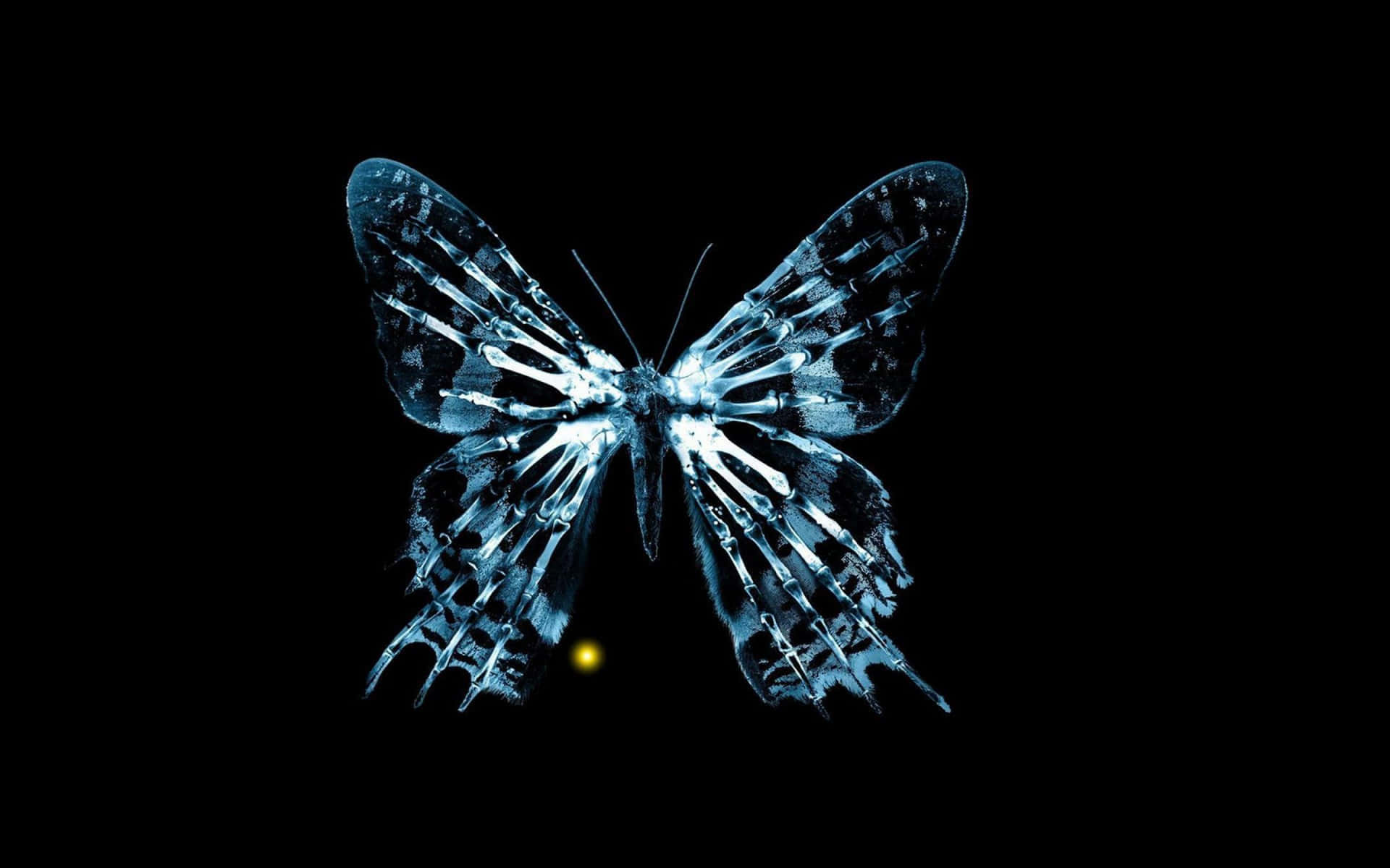 A Vibrant Cool Butterfly Fluttering In Nature Background