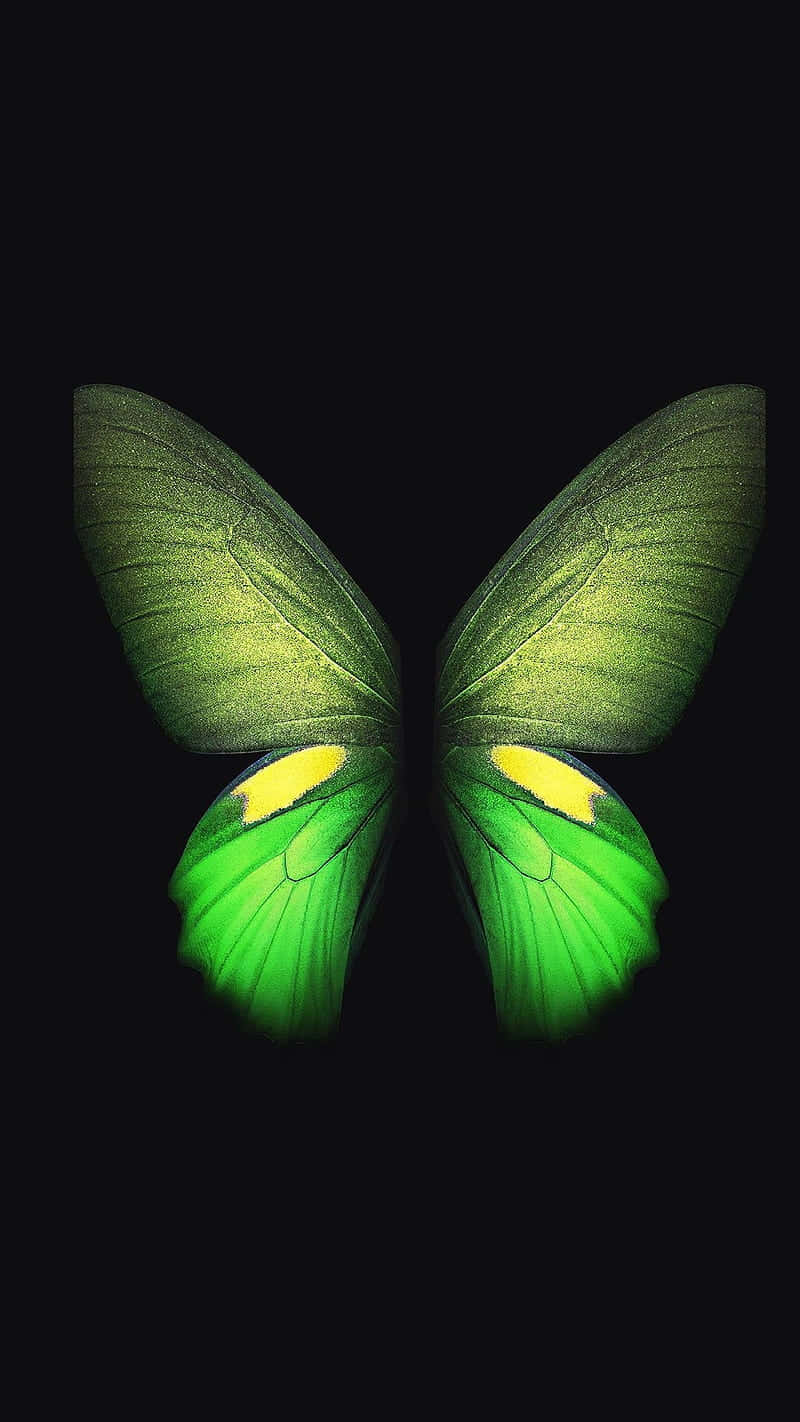 A Vibrant Green Butterfly Fluttering Among A Field Of Bright Orange Flowers. Background