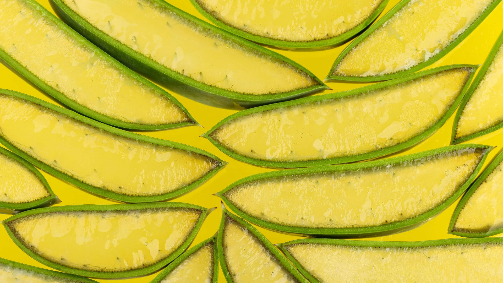 A Vibrant Image Of Lush Green Aloe Vera Plant Background