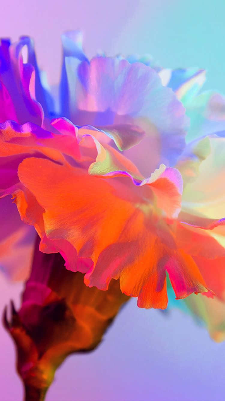 A Vibrant Rainbow Flower Entwined Around An Iphone
