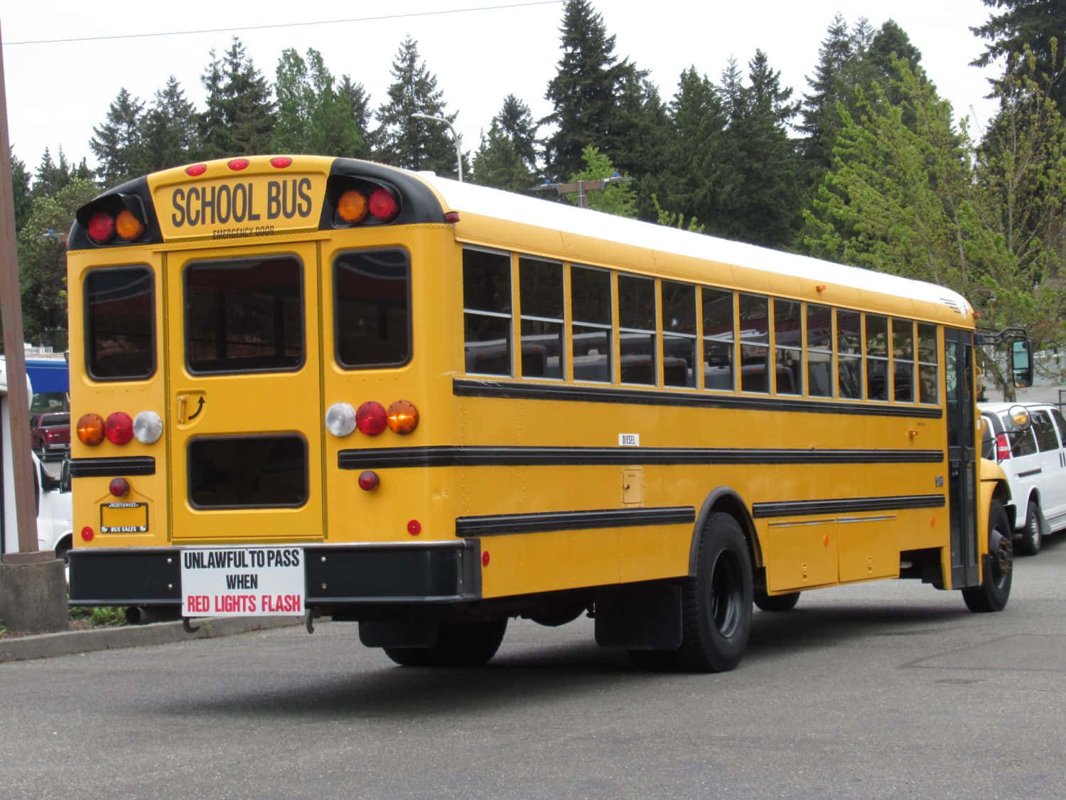 A Vibrant School Bus Parked Amid Serene Nature Background