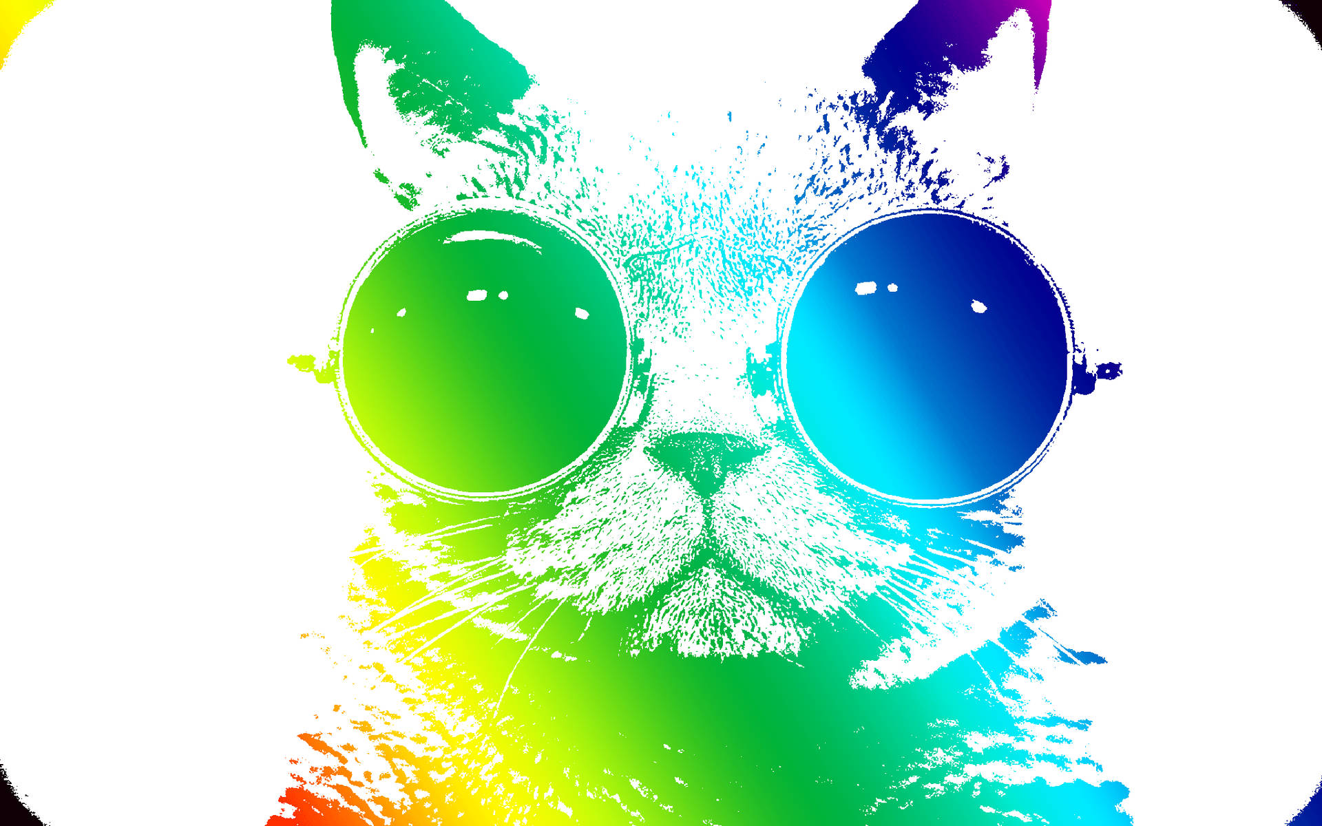 A Vibrantly Colored Cool Cat Amidst A Rainbow Backdrop