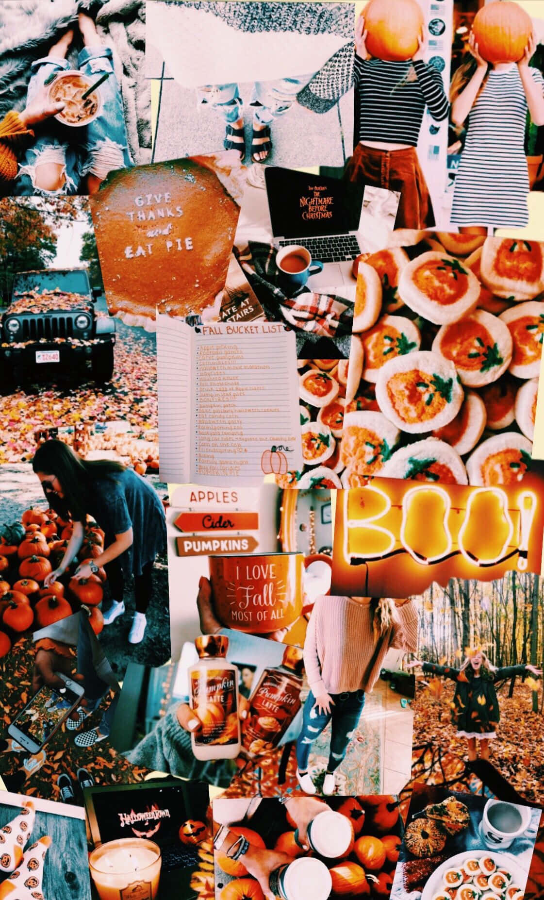 A Vibrantly Colored Fall Collage For Your Desktop Background