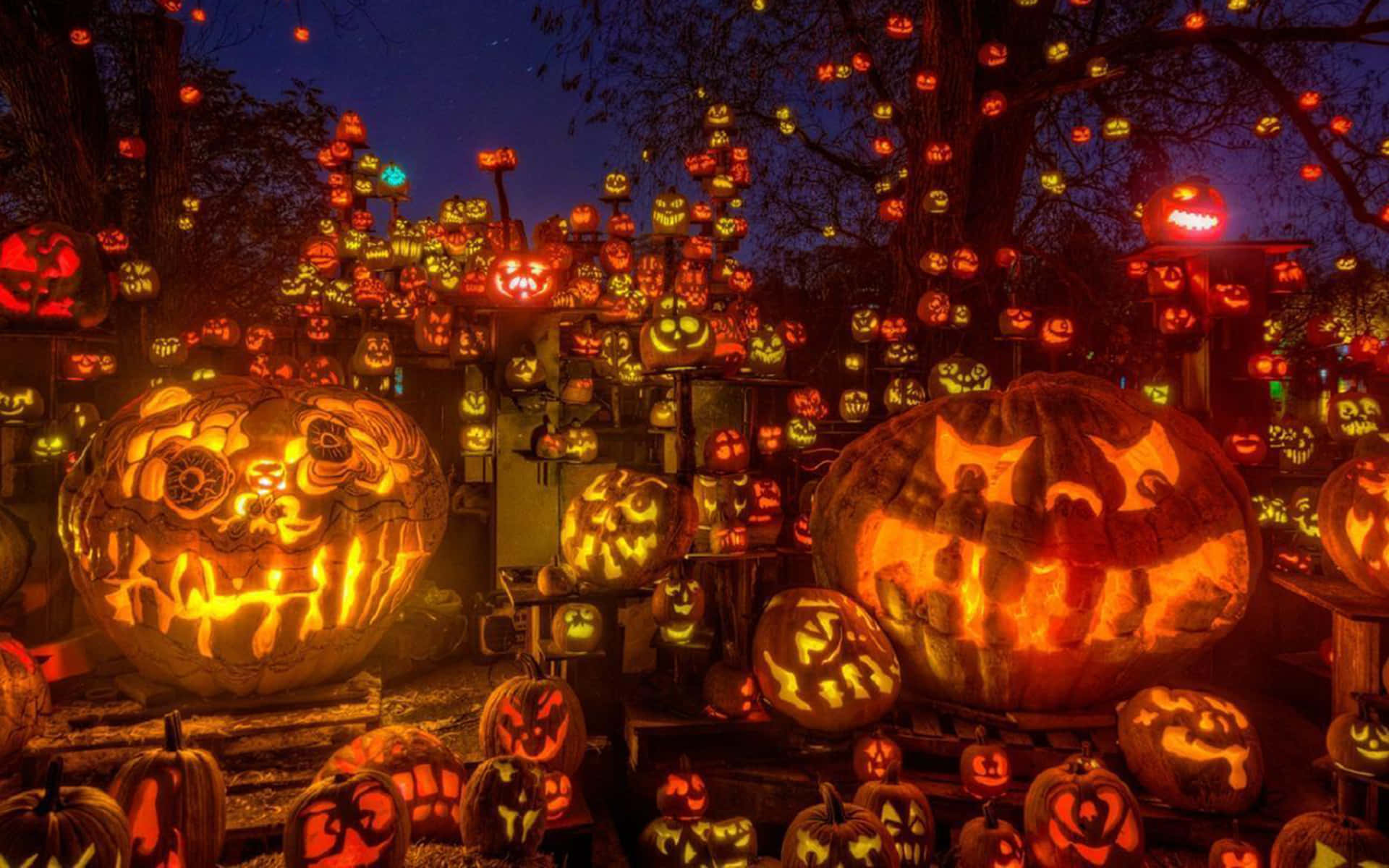 A View Of A Beautiful Autumn Night Illuminated By An Orange Pumpkin Background