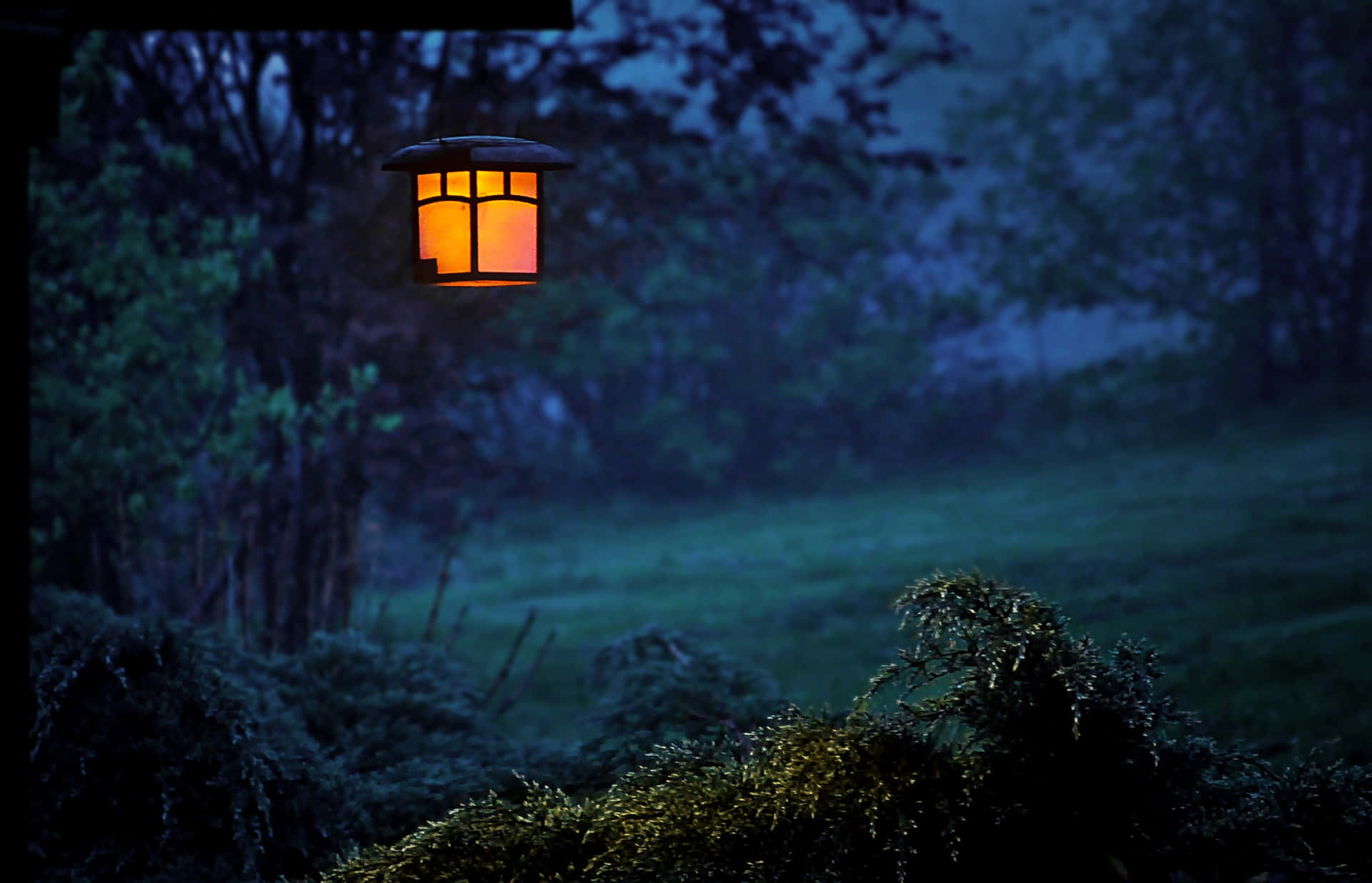A View Of A Dark Mysterious Night Forest. Background