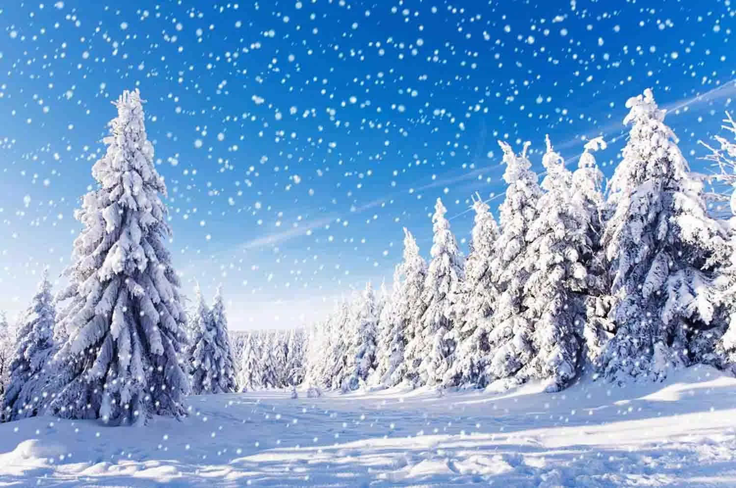 A View Of A Tranquil Snowy Landscape Background