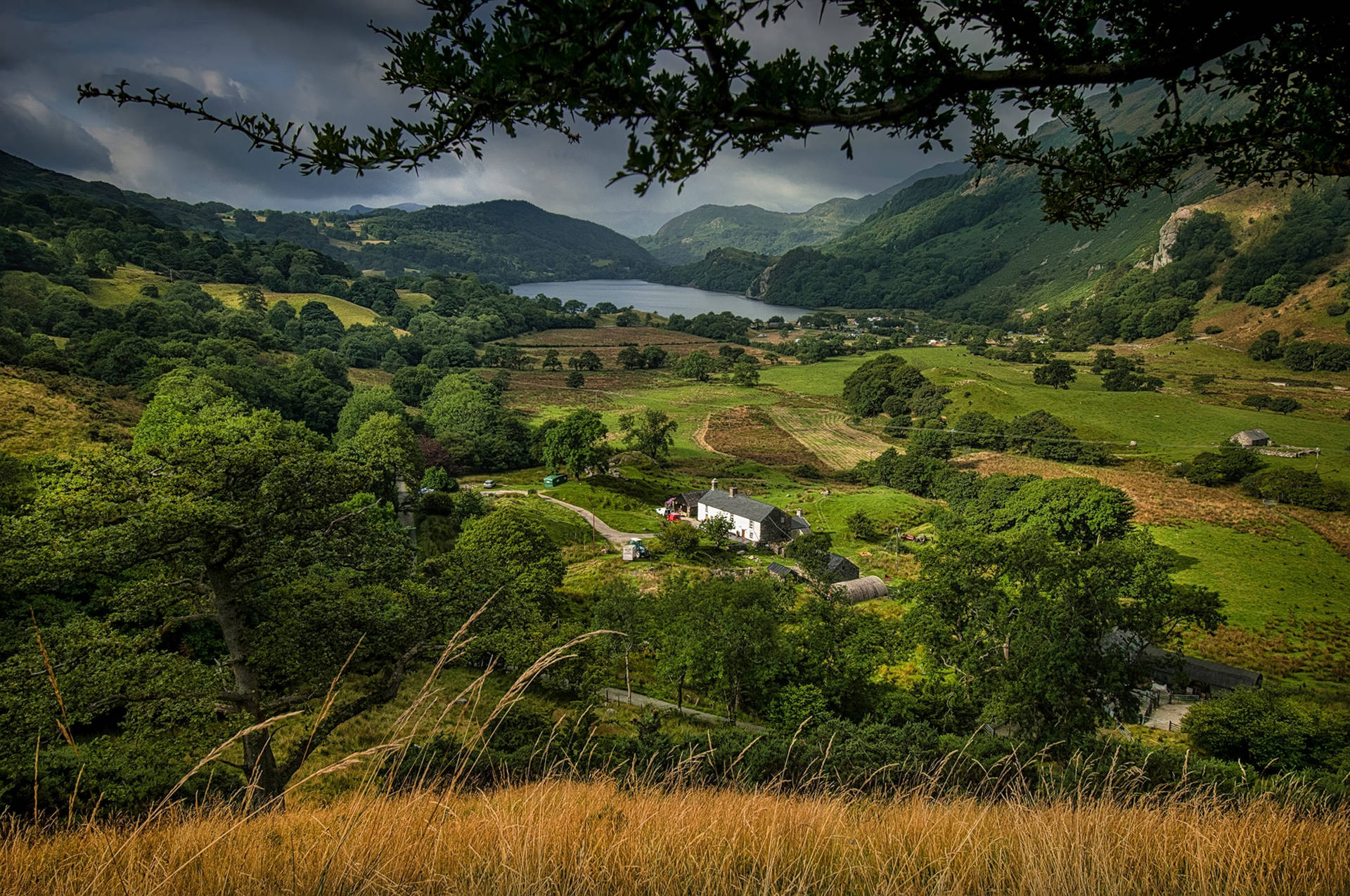 A View Of A Valley With A House And Trees Background