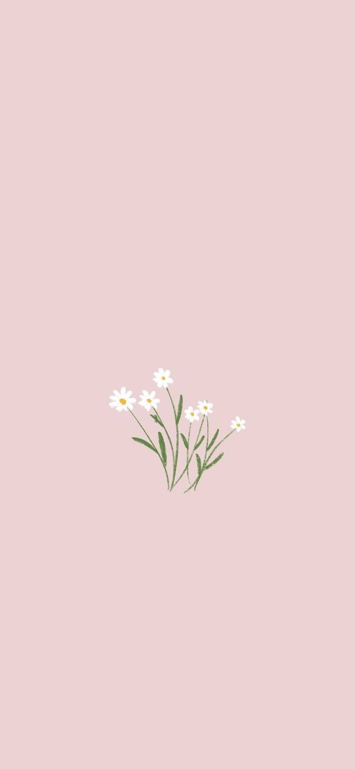 A View Of Minimalist Spring Background