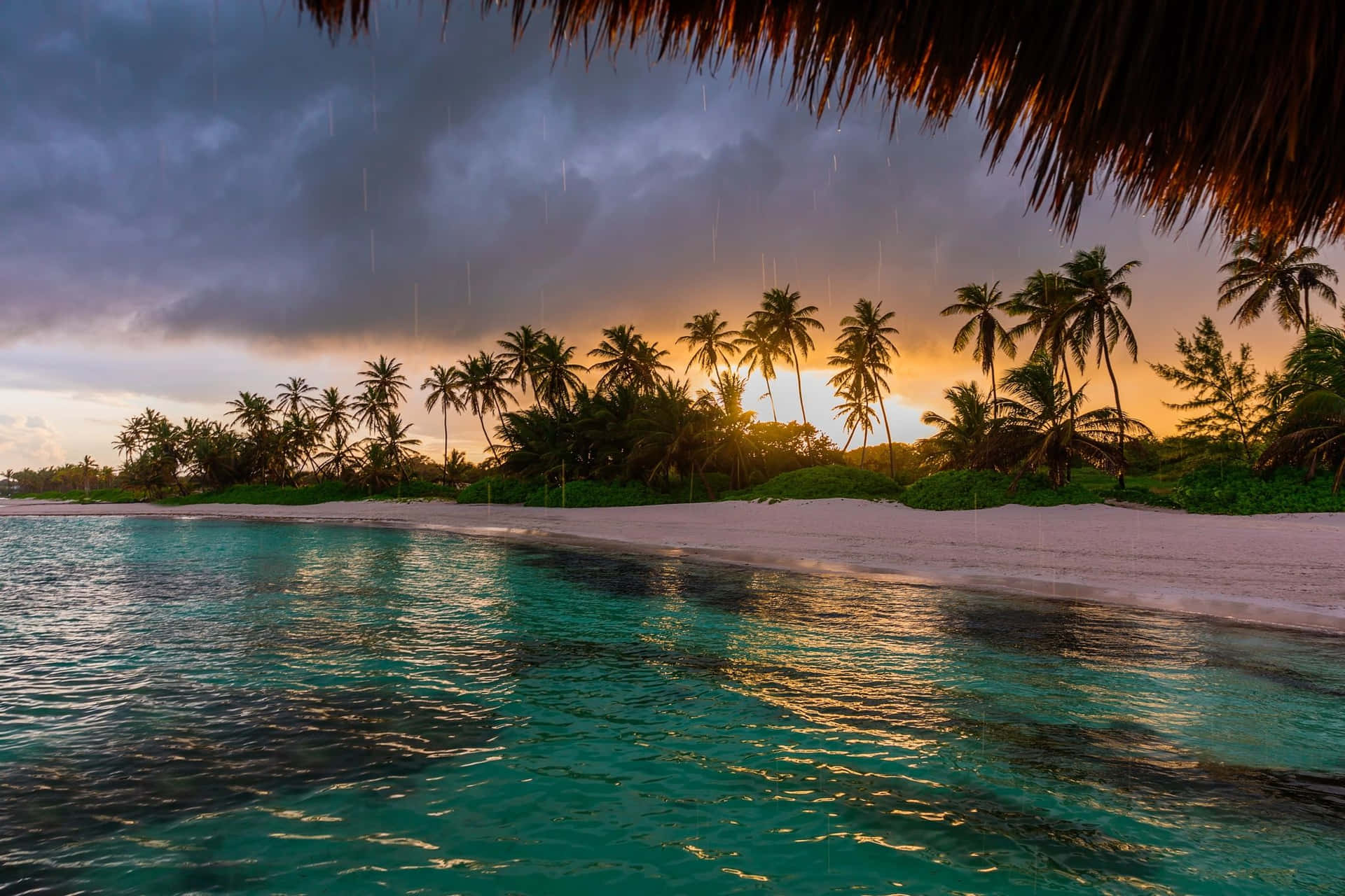 A View Of Paradise Background