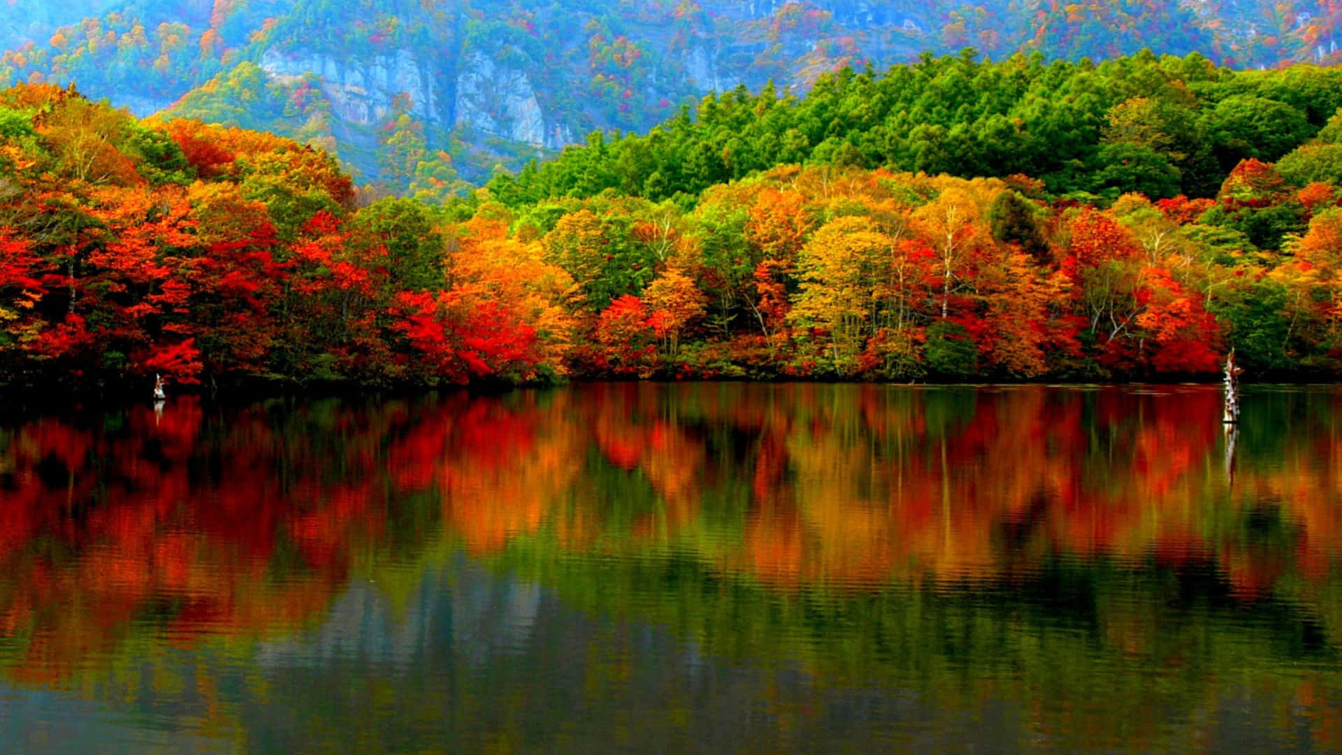 A View Of Stunning Autumnal Landscape Background