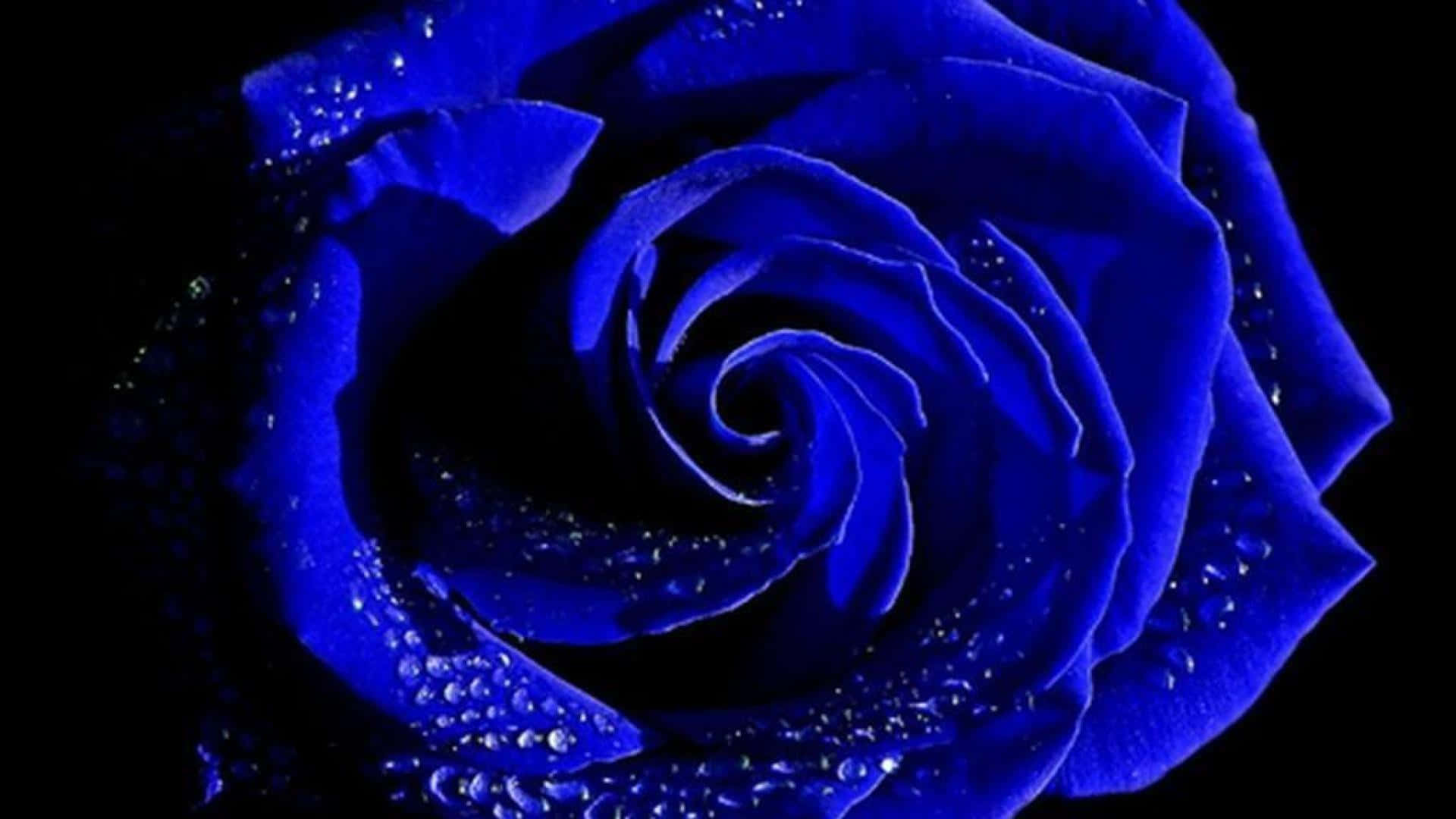 A View Of The Beautiful Night Sky Lit Up With Shades Of Indigo Background