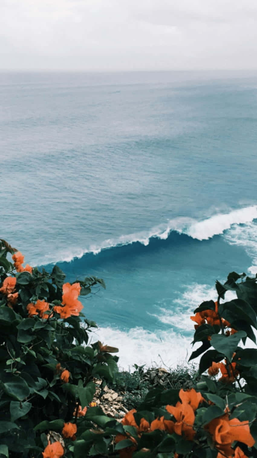 A View Of The Ocean With Orange Flowers Background