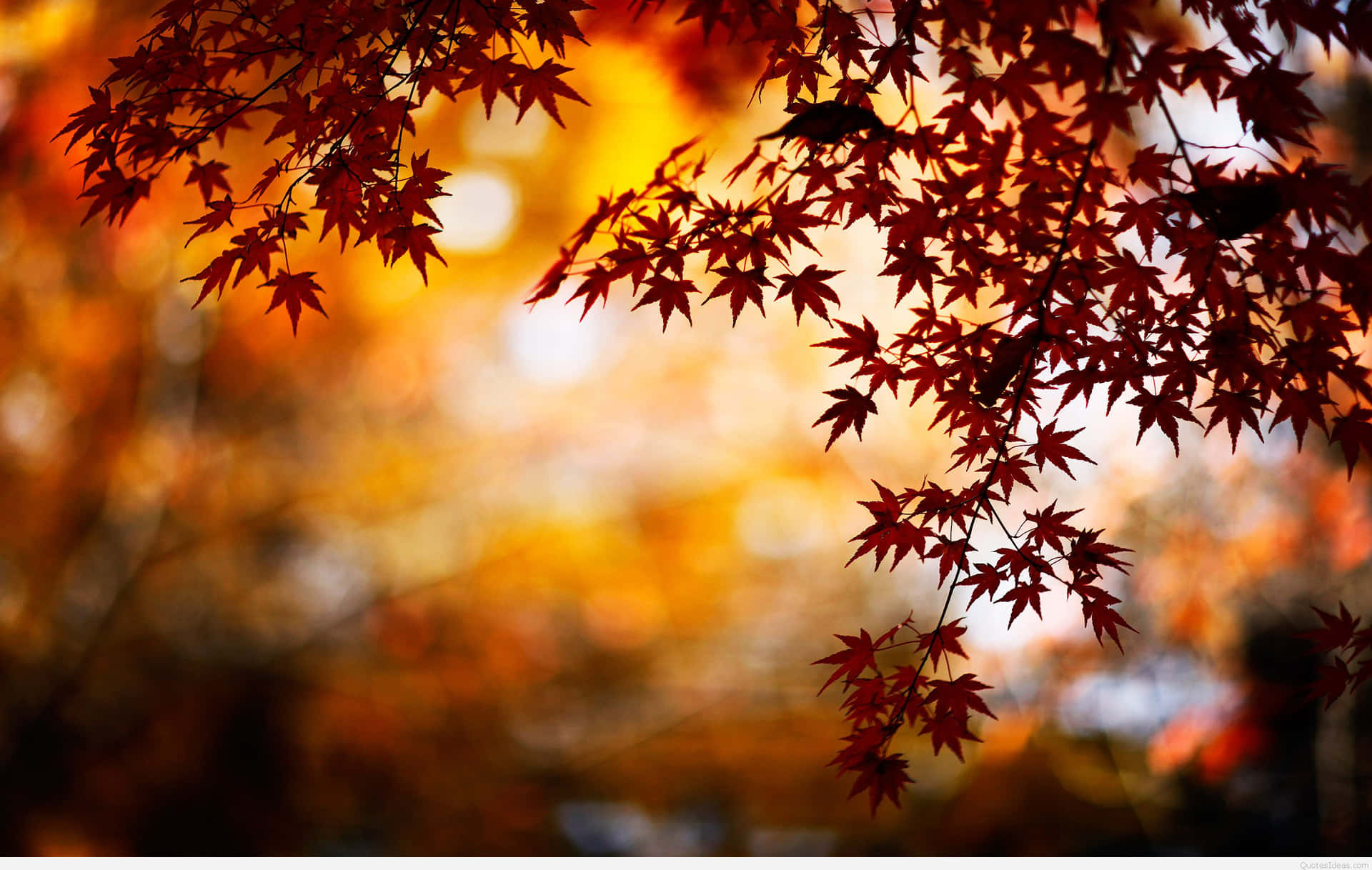 A View Of Traditional Urns In An Autumn Landscape Background