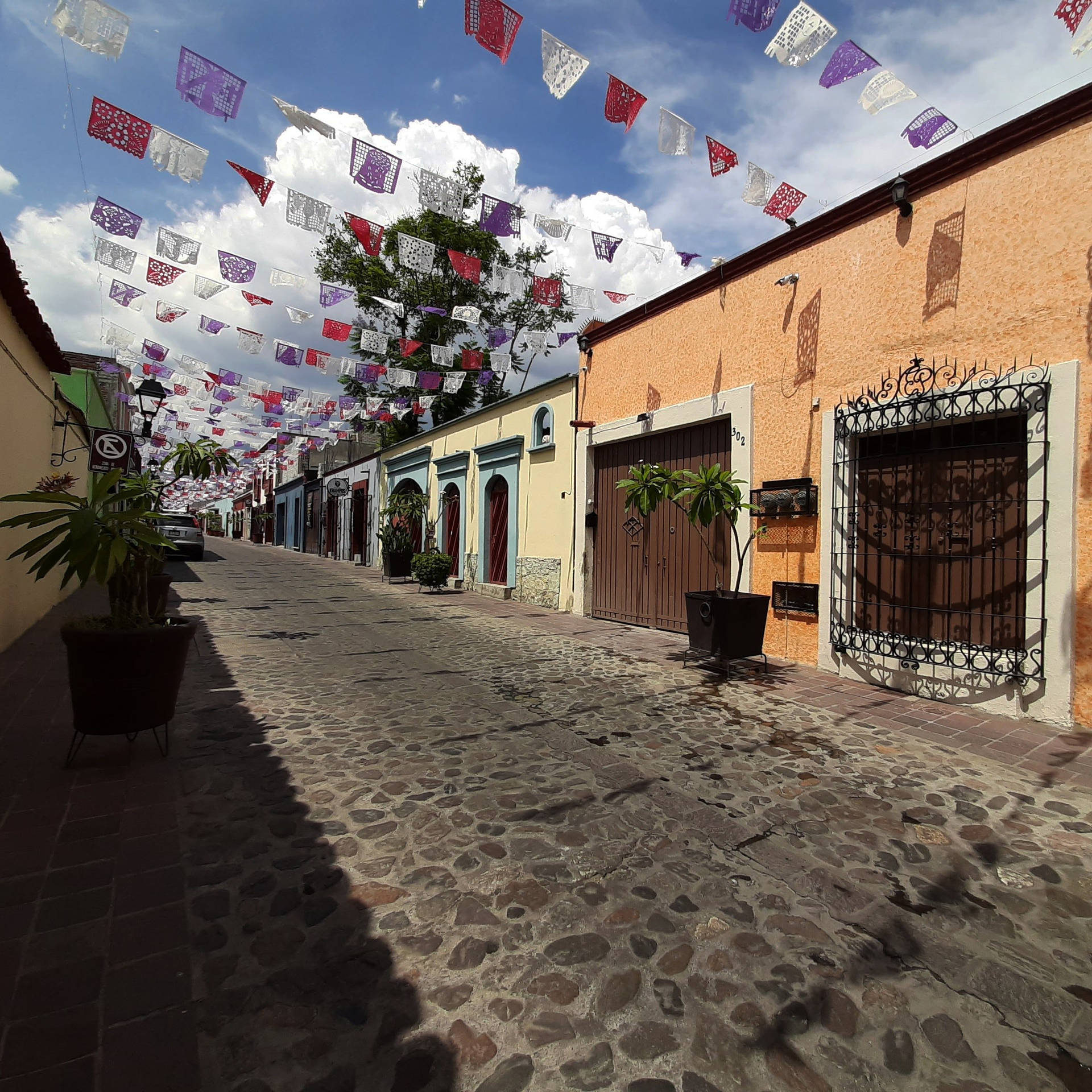 A Village In Oaxaca Background