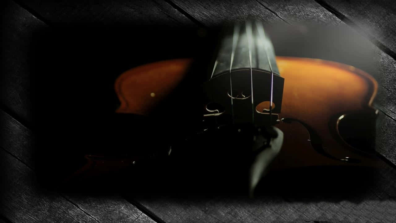 A Violin Provides Beauty, Elegance, And Grace In Any Performance.