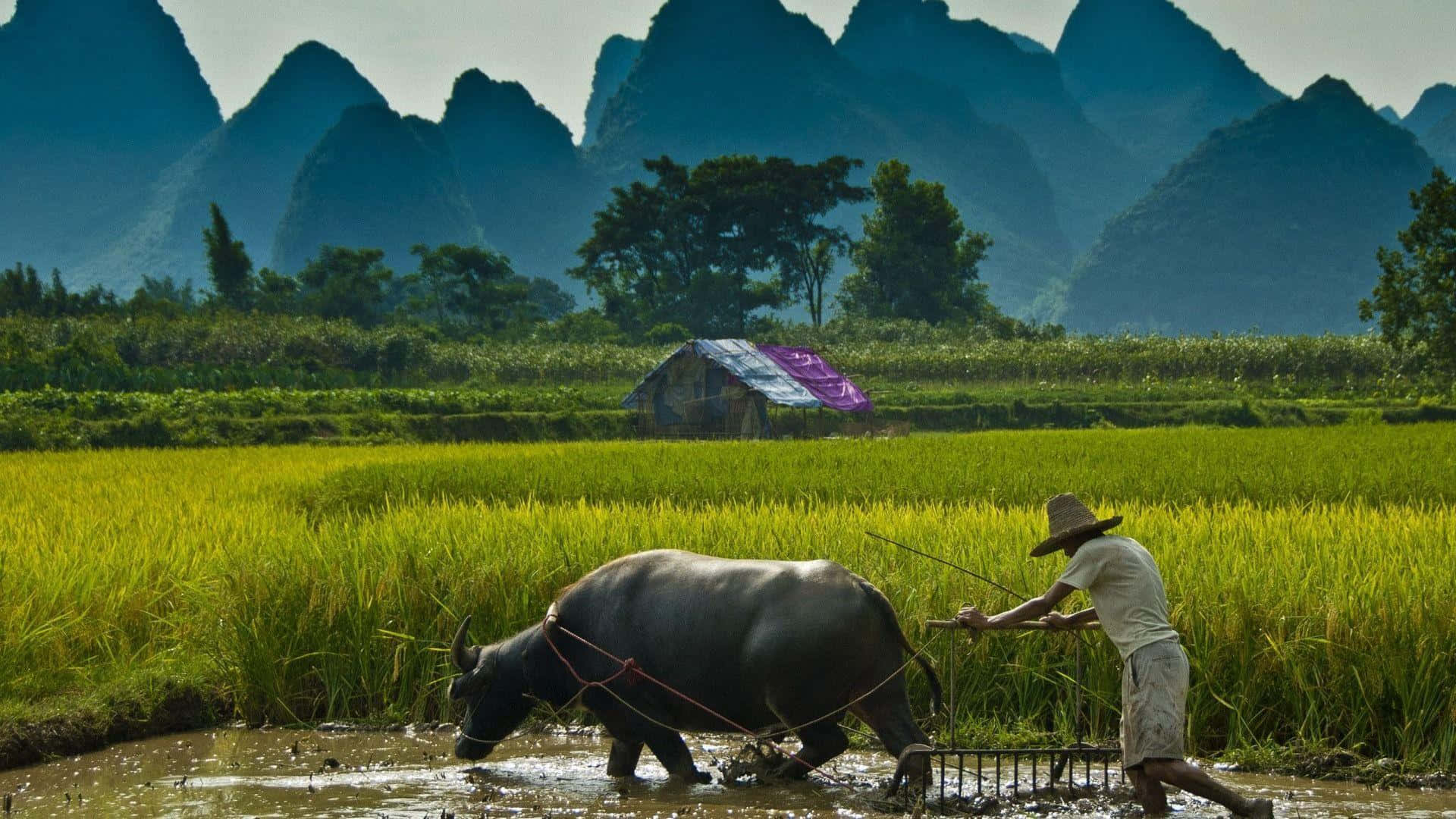 A Vision For A Sustainable Future Background