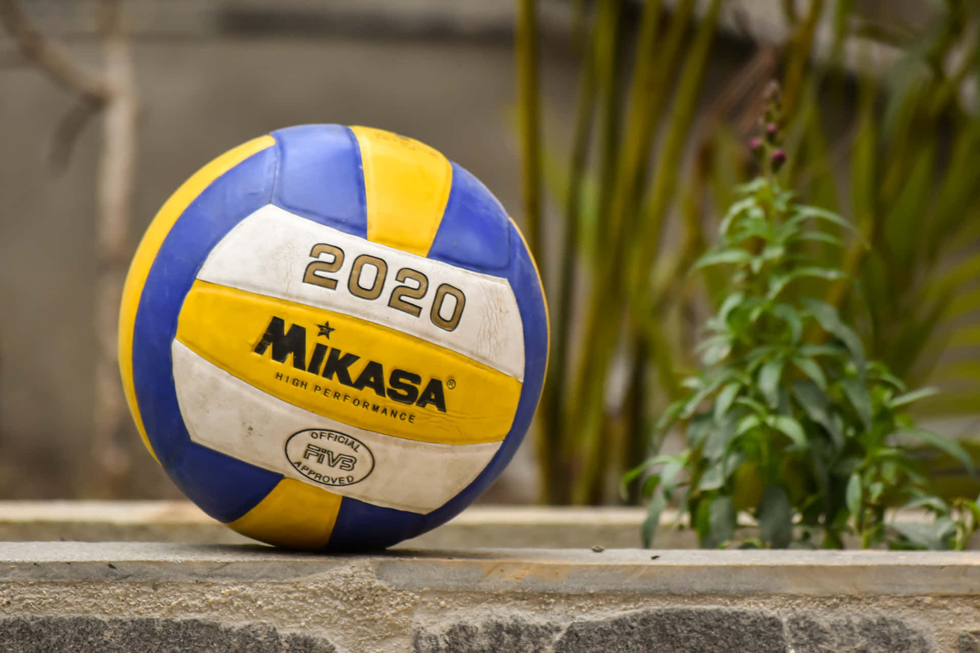 A Volleyball Ball Ready For Play! Background