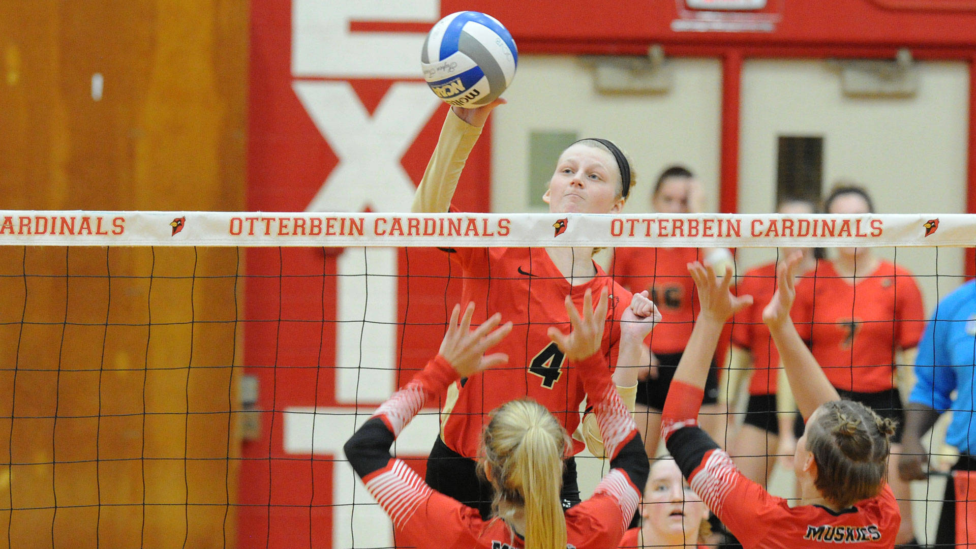 A Volleyball Team Playing Volleyball Background