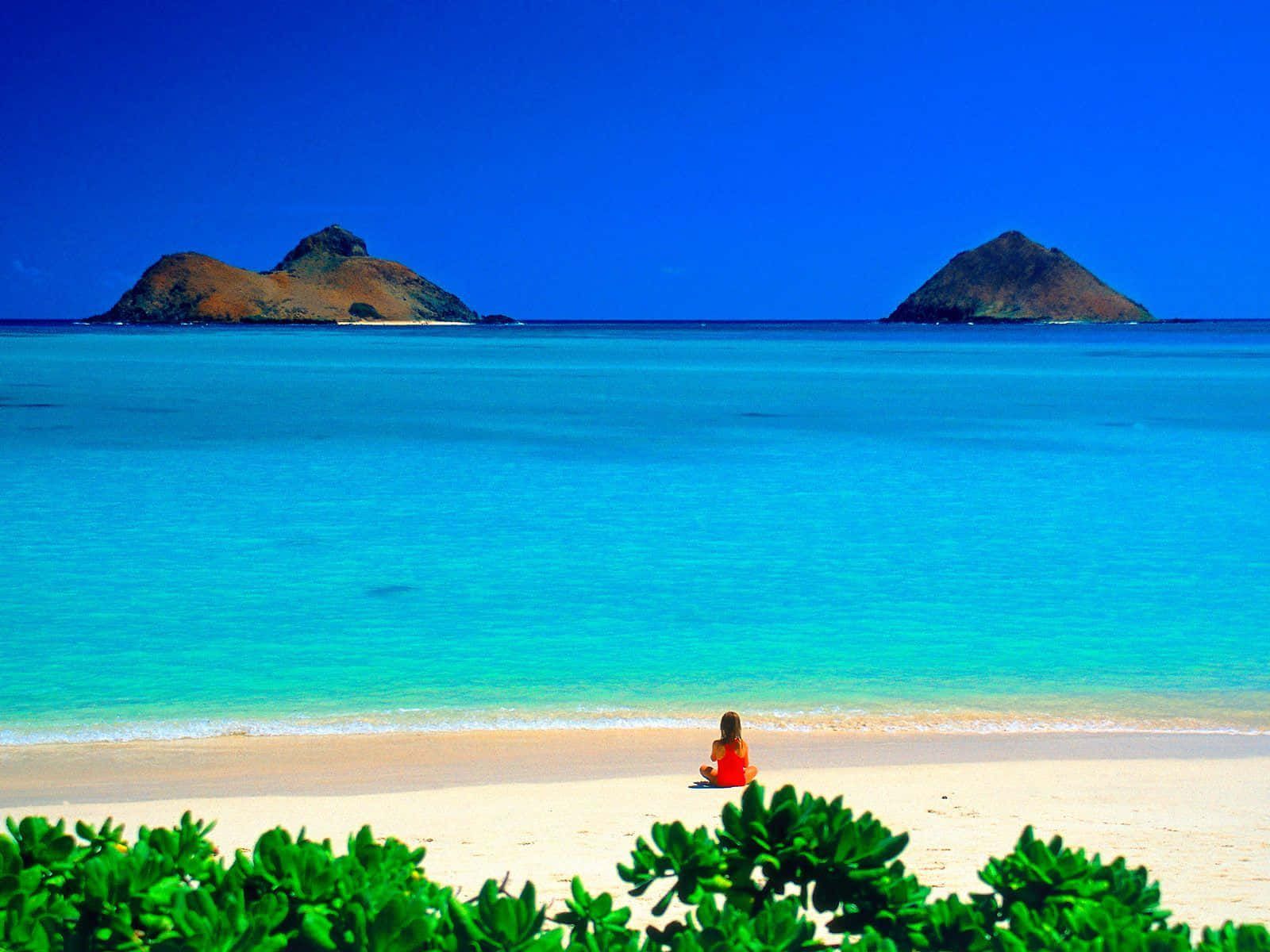 A Walk Along The Beautiful Hawaii Beach