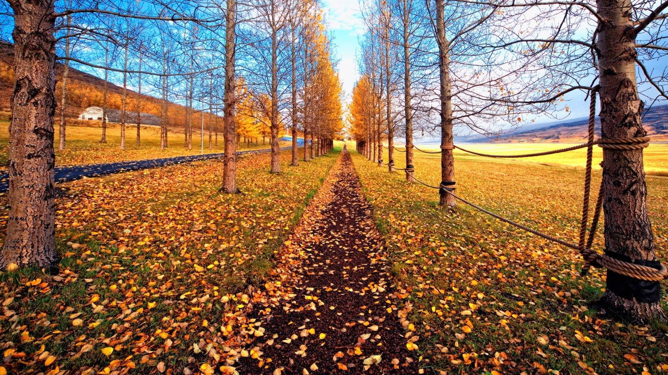 A Walk Down A Countryside Path In The Month Of November Background