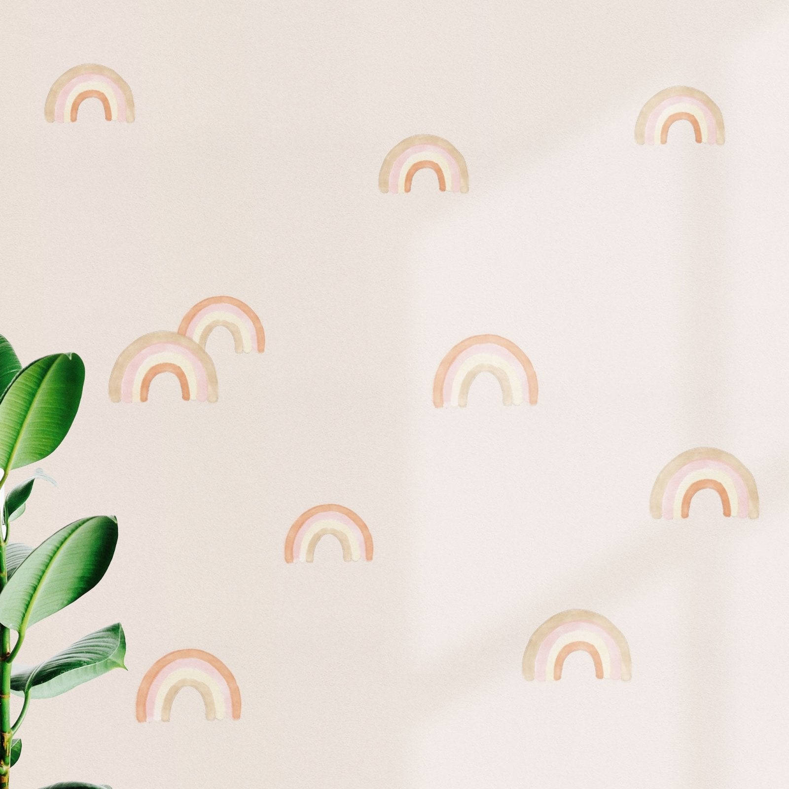 A Wall With Rainbows And A Plant In Front Of It Background