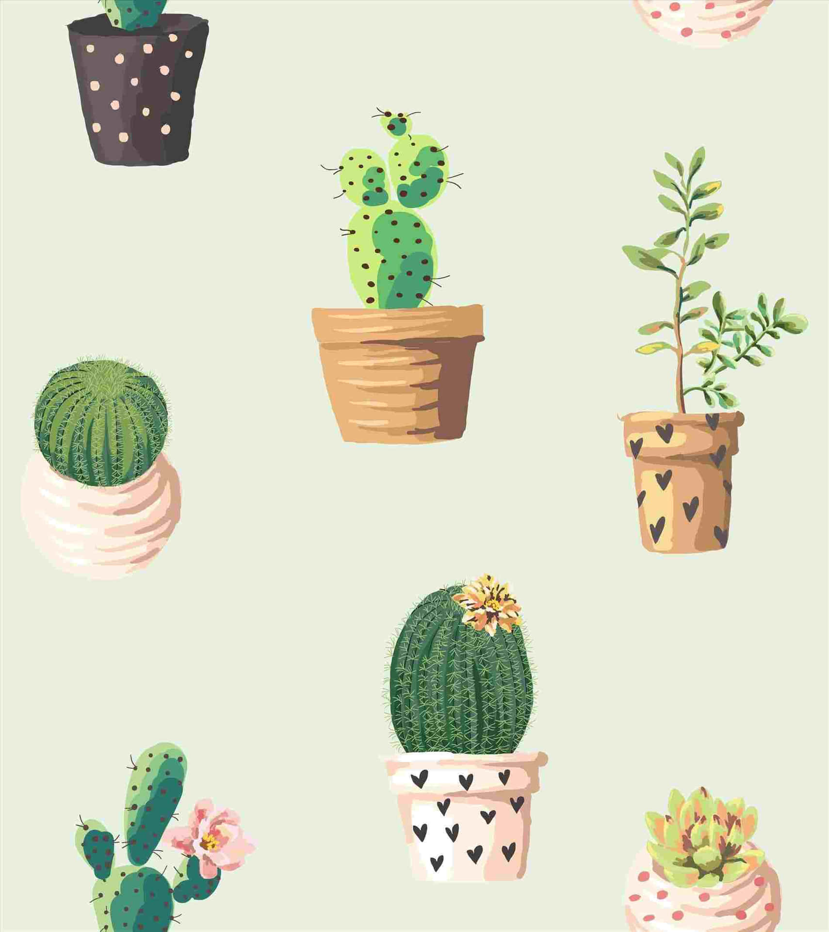 A Wallpaper With Cactus Plants In Pots Background