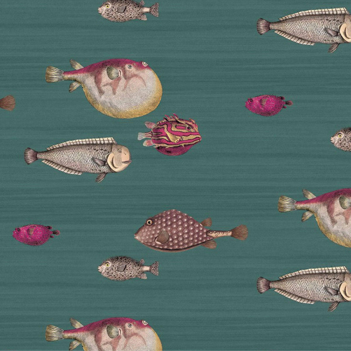 A Wallpaper With Fish On It Background