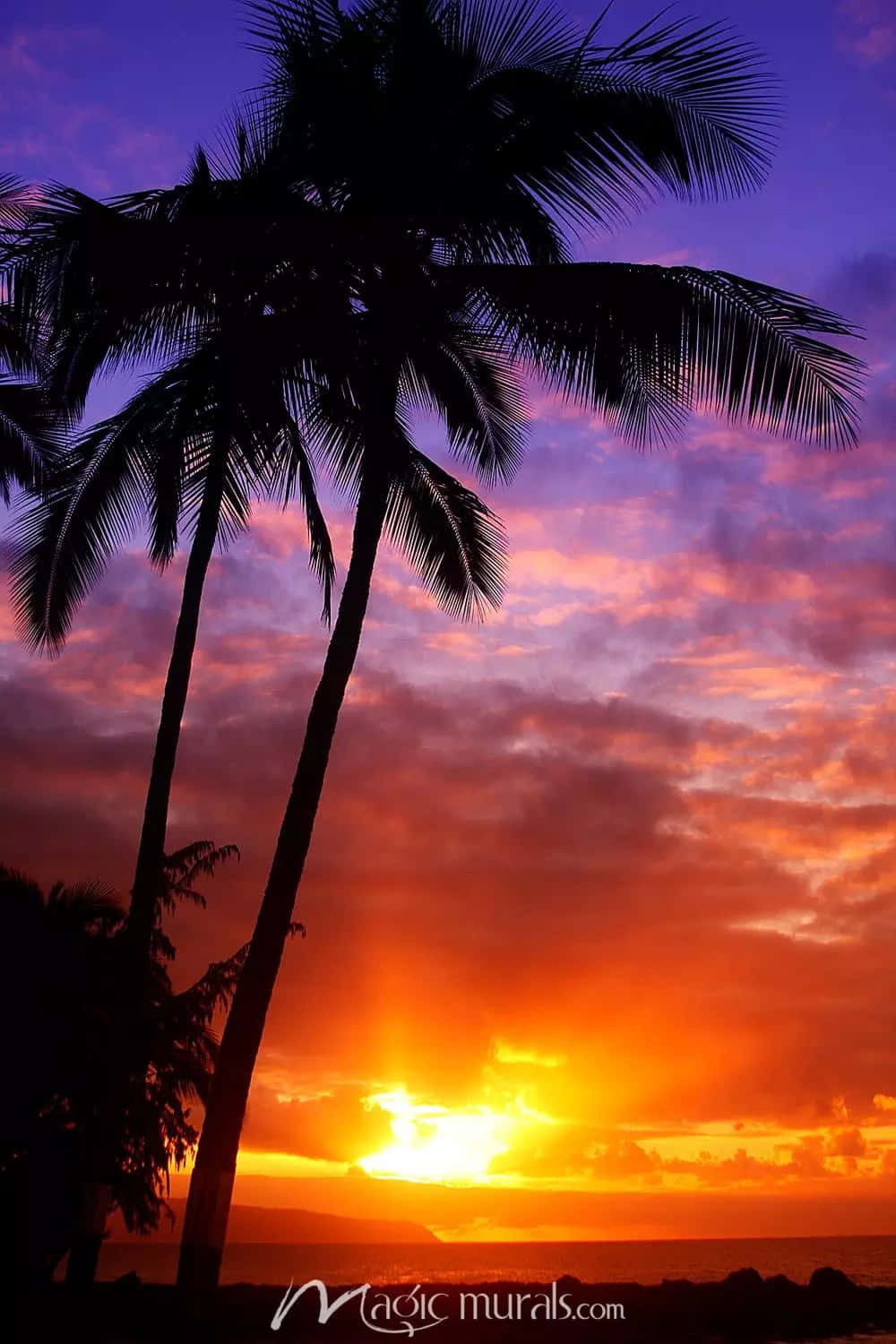 A Warm And Relaxing Hawaii Sunset Background