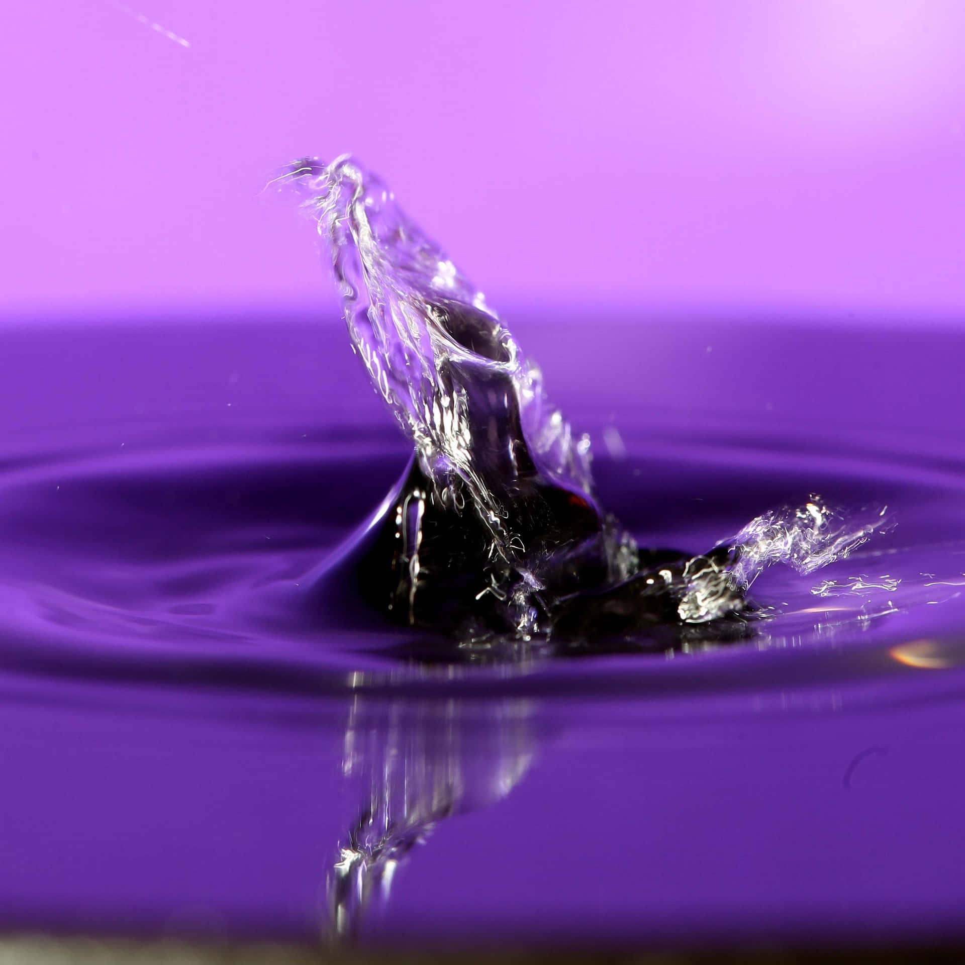 A Water Drop Is Falling Into A Purple Background Background