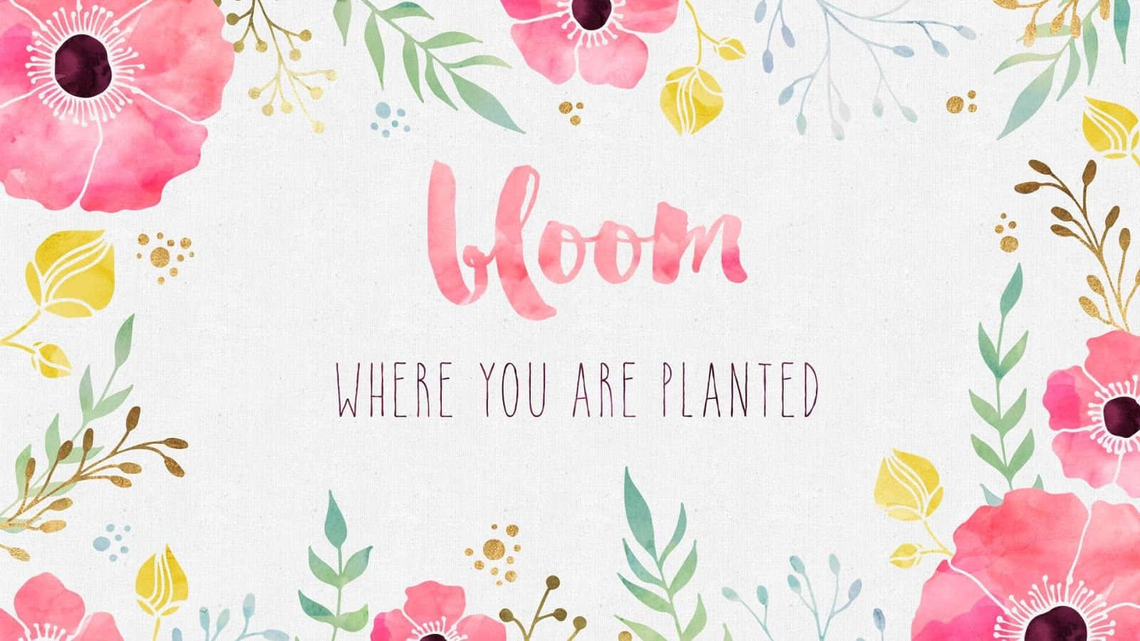 A Watercolor Floral Design With The Words Bloom Where You Are Planted Background
