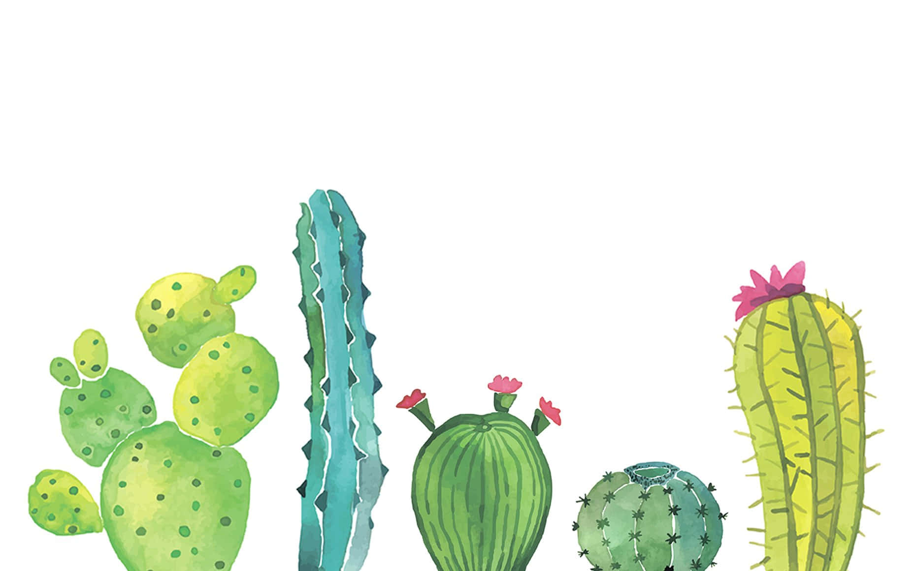 A Watercolor Illustration Of Cactus Plants Background
