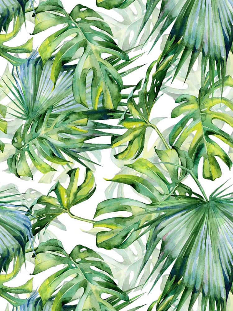 A Watercolor Painting Of Tropical Leaves Background