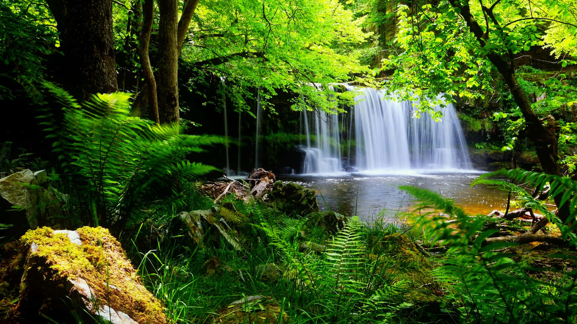 A Waterfall In A Lush Green Forest Background