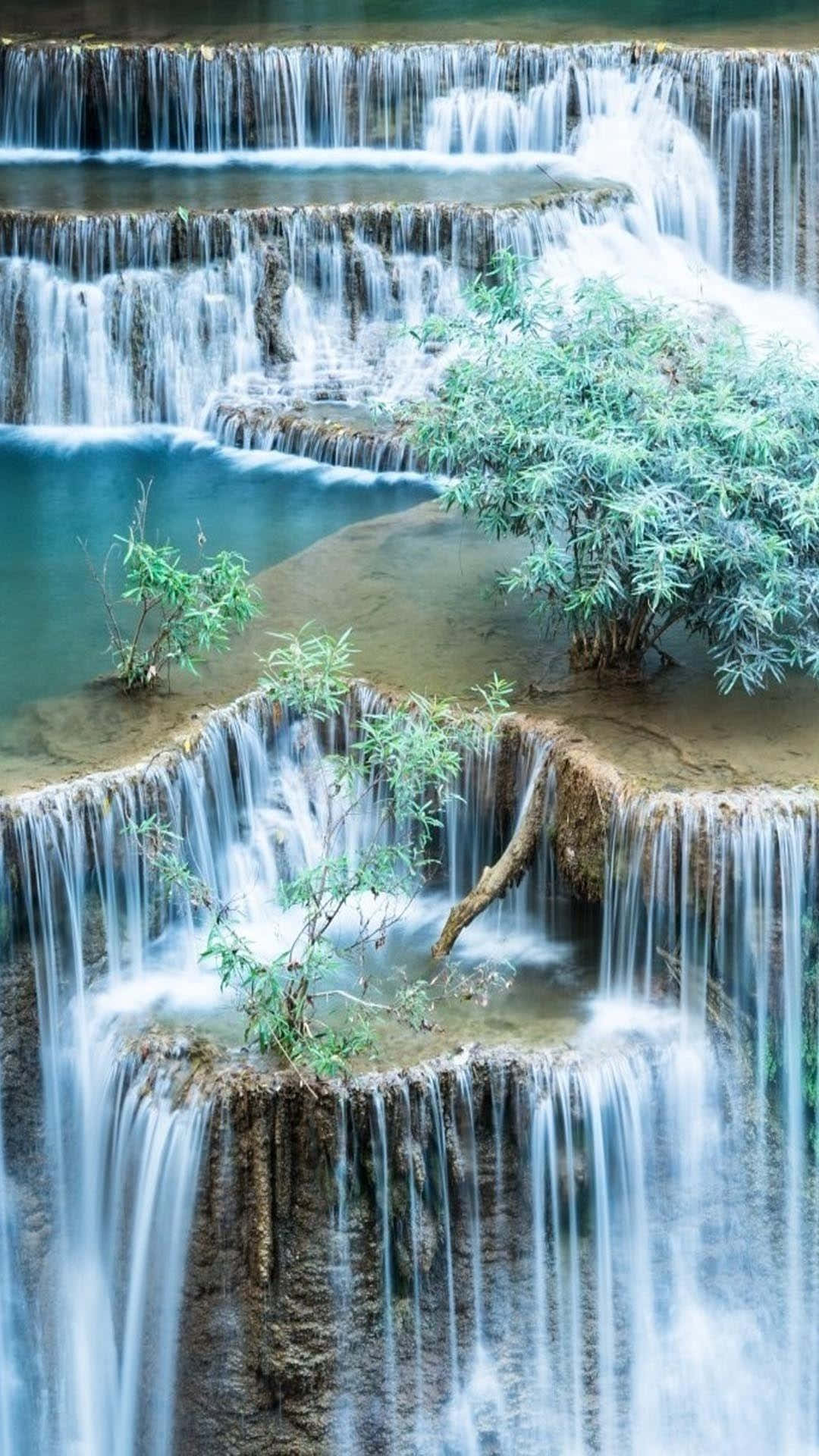 A Waterfall With A Tree Growing In It Background