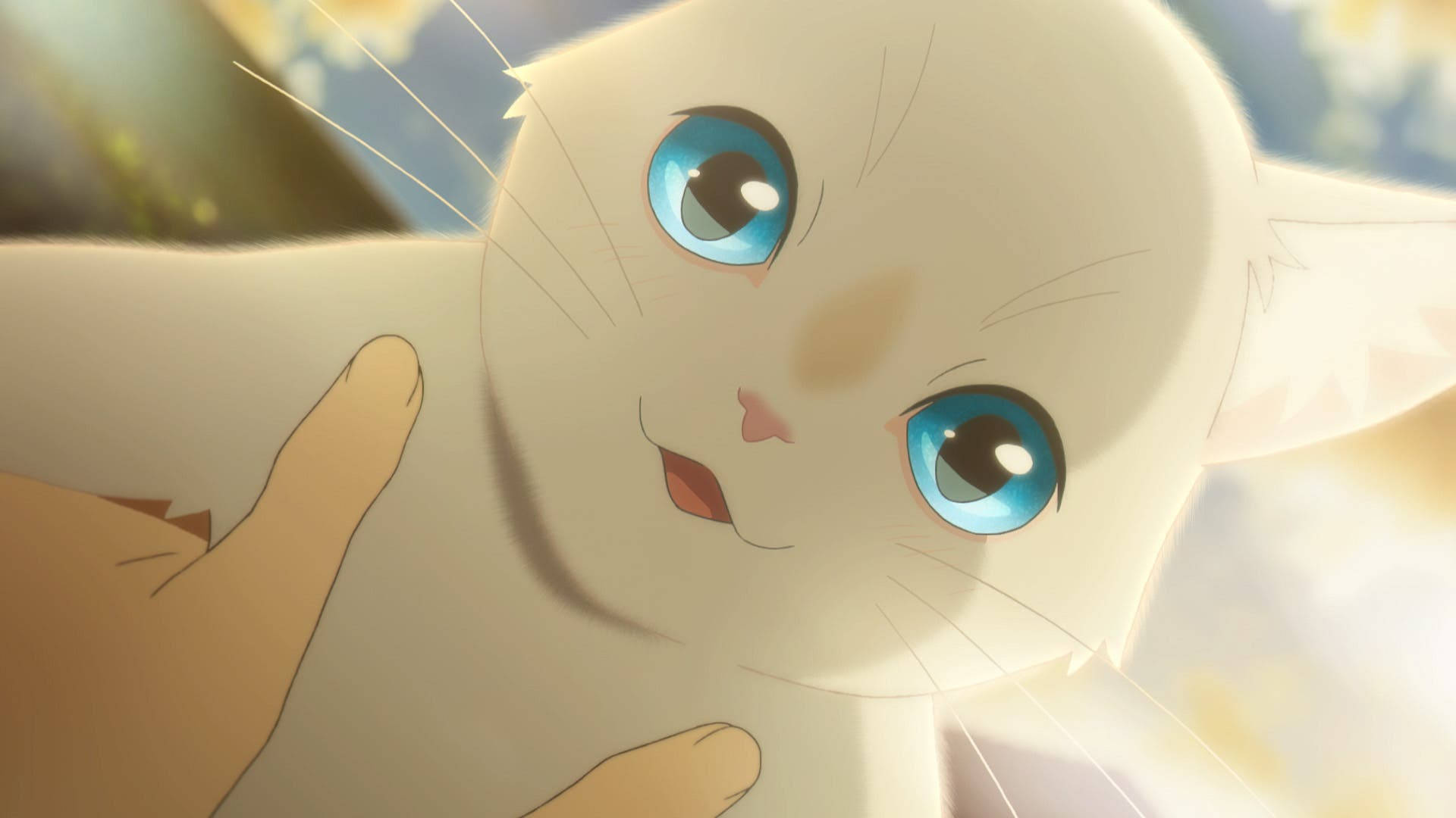 A Whisker Away Cat Taro Background