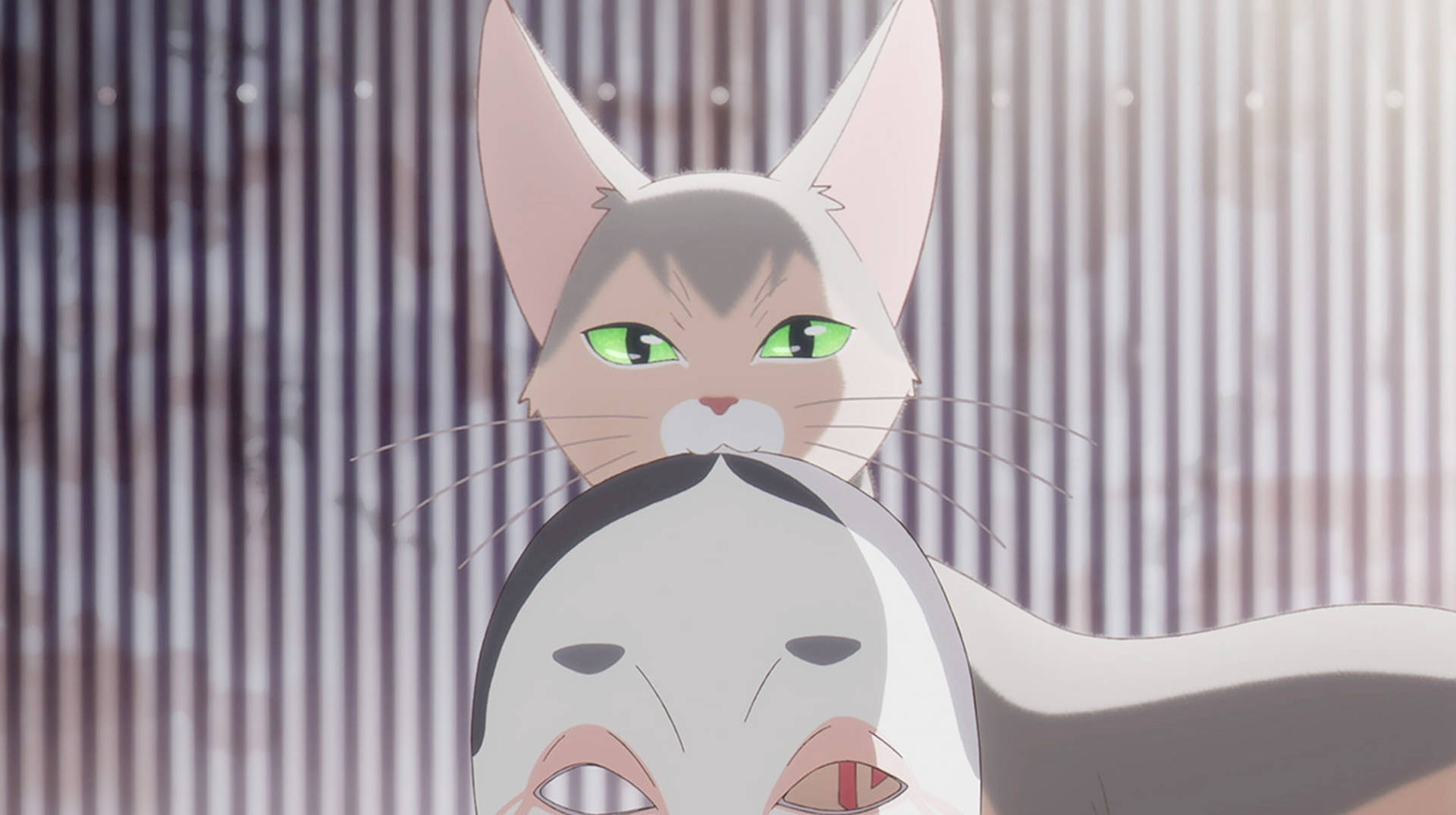 A Whisker Away Kinako Cat Mask Background