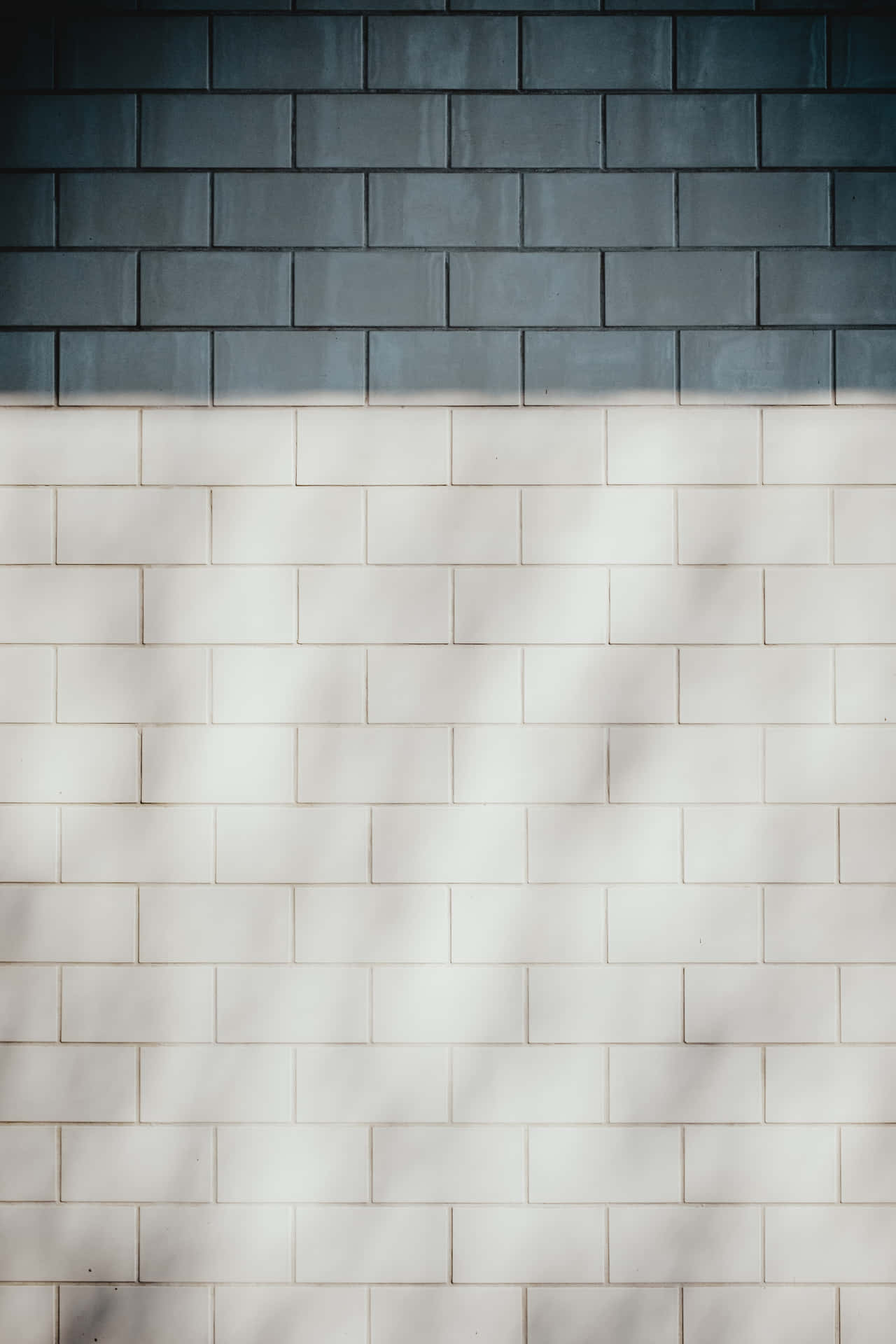 A White And Blue Tile Wall With A Shadow