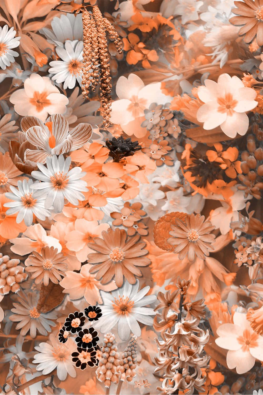 A White And Orange Flower Pattern Background