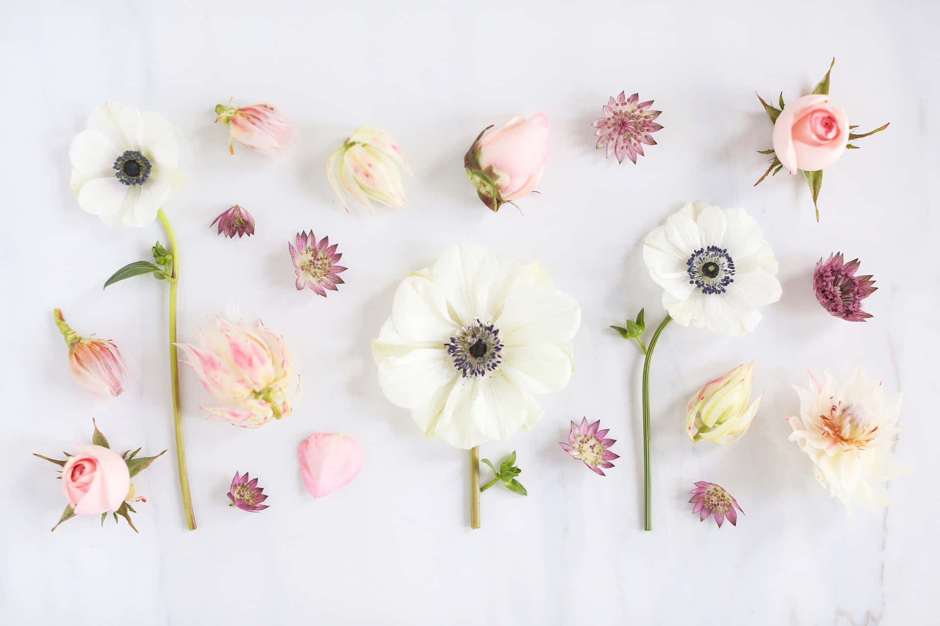 A White And Pink Flower Arrangement On A White Surface Background