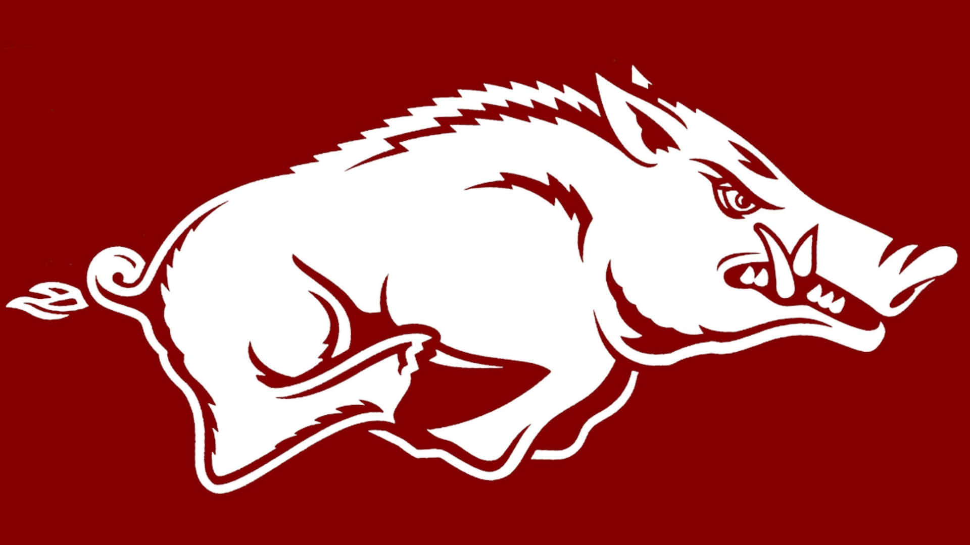 A White Arkansas Razorback Logo On A Maroon Background Background