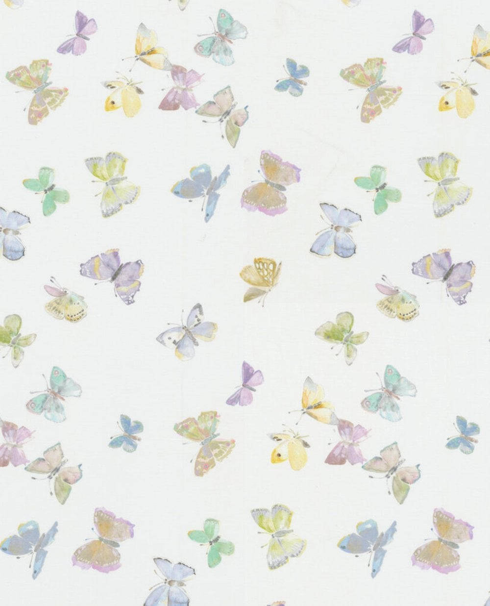 A White Background With Butterflies On It Background