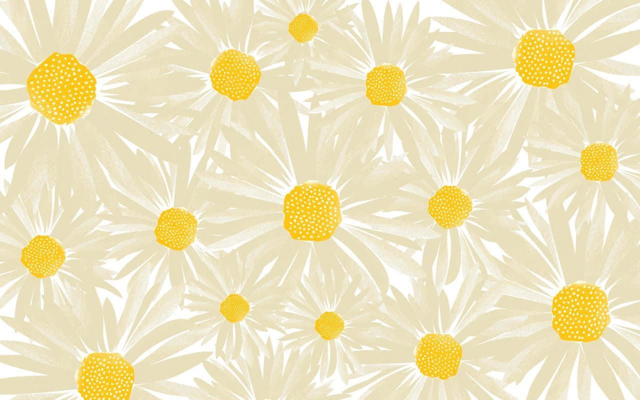 A White Background With Yellow Daisies Background