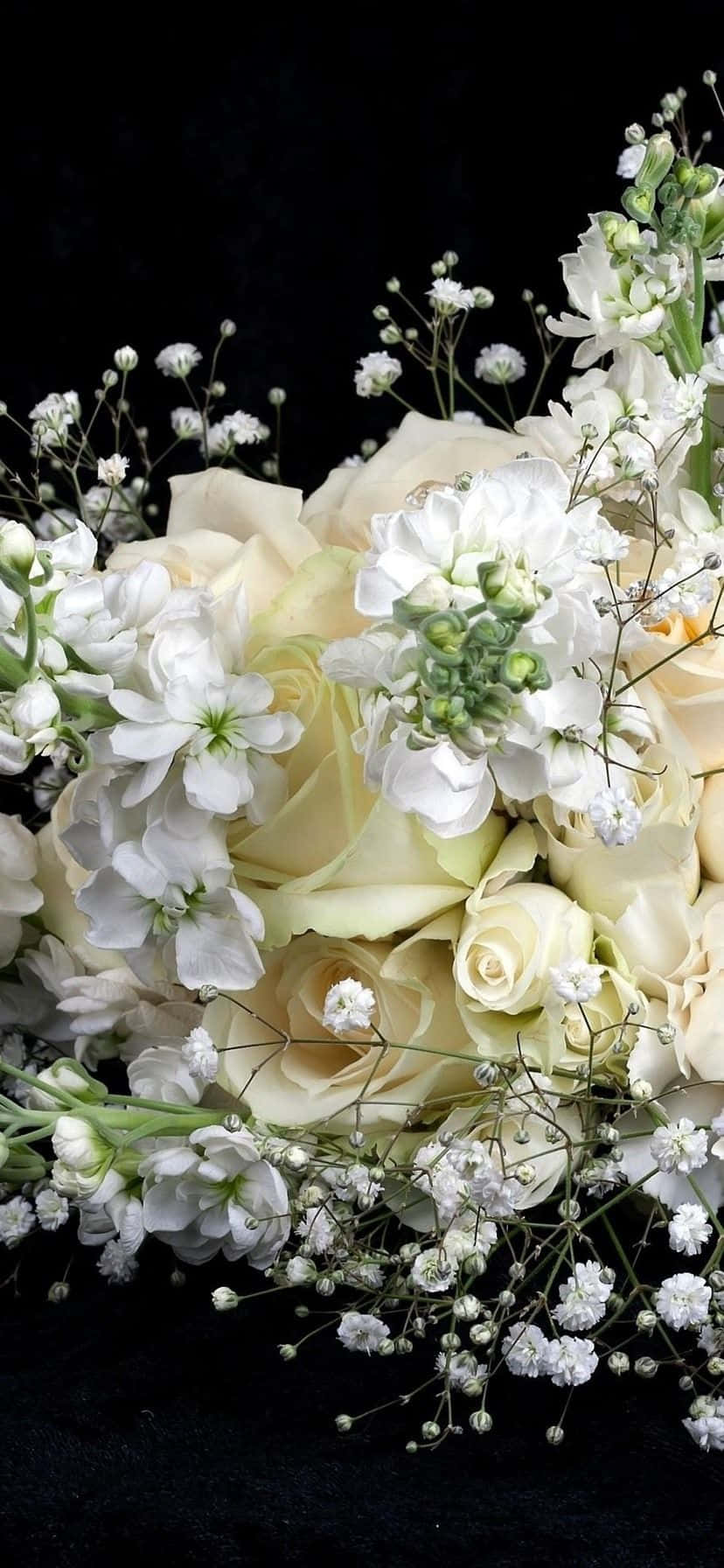 A White Bouquet With Baby's Breath And White Flowers Background