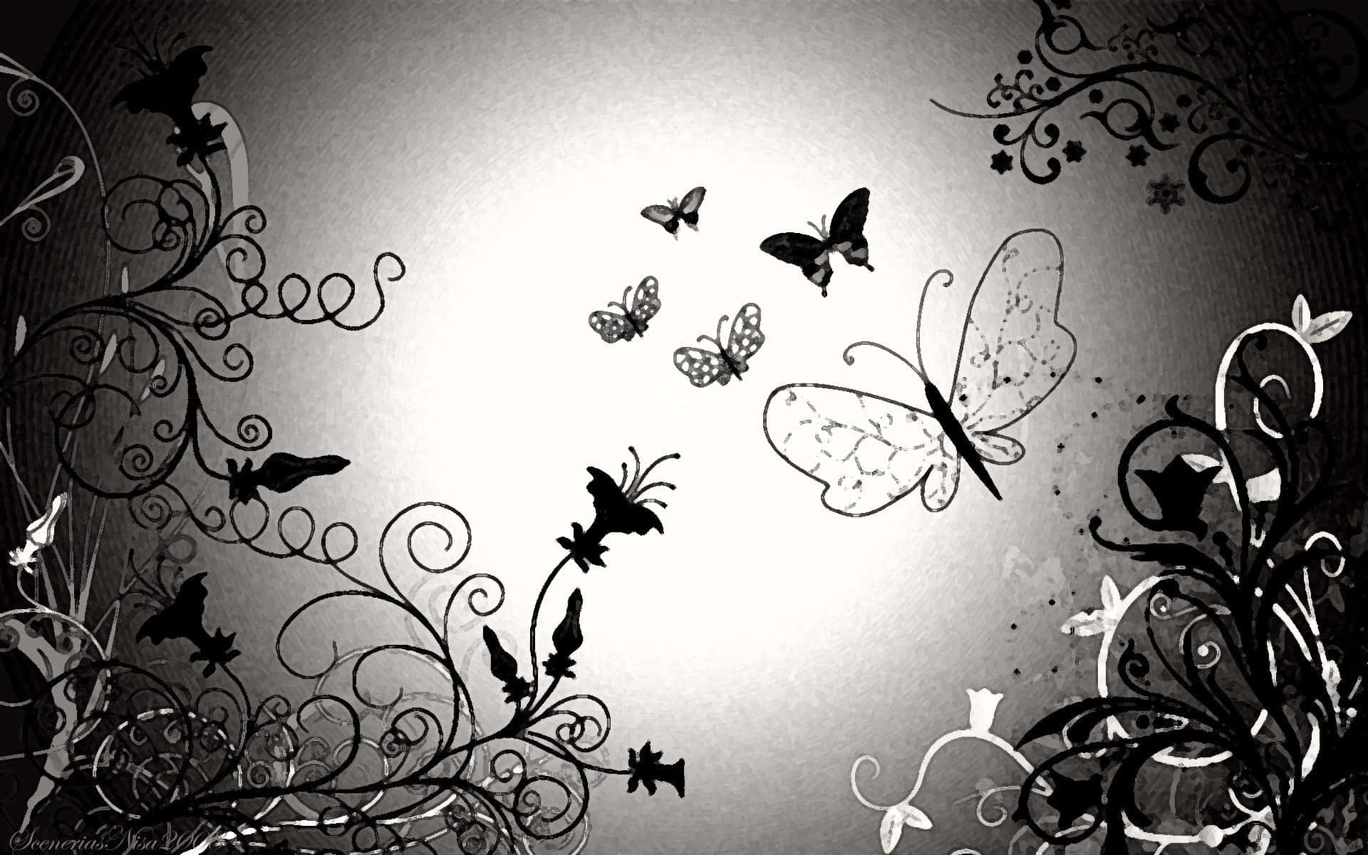 A White Butterfly Gracefully Flying On A Sunny Day Background