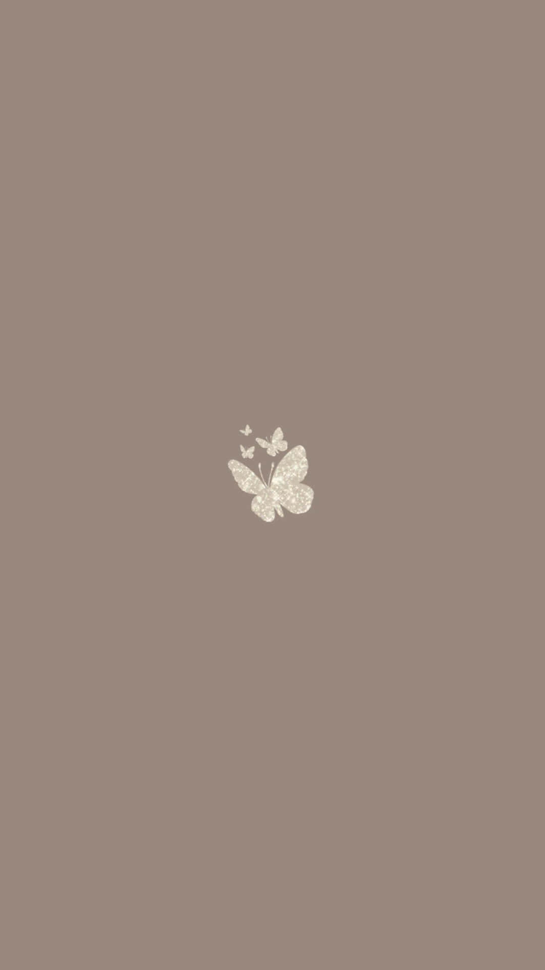 A White Butterfly On A Brown Background Background
