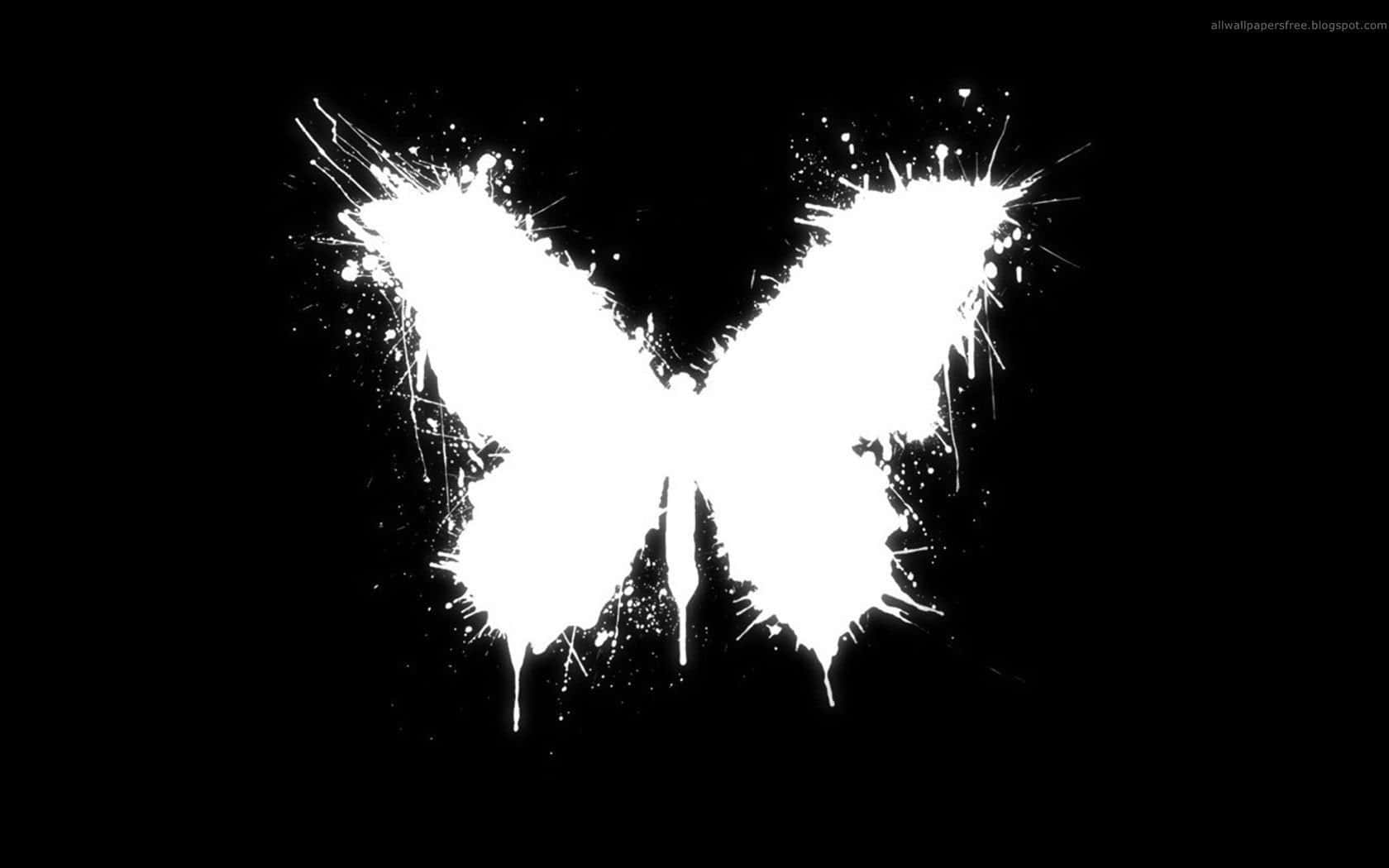 A White Butterfly Takes Flight Background