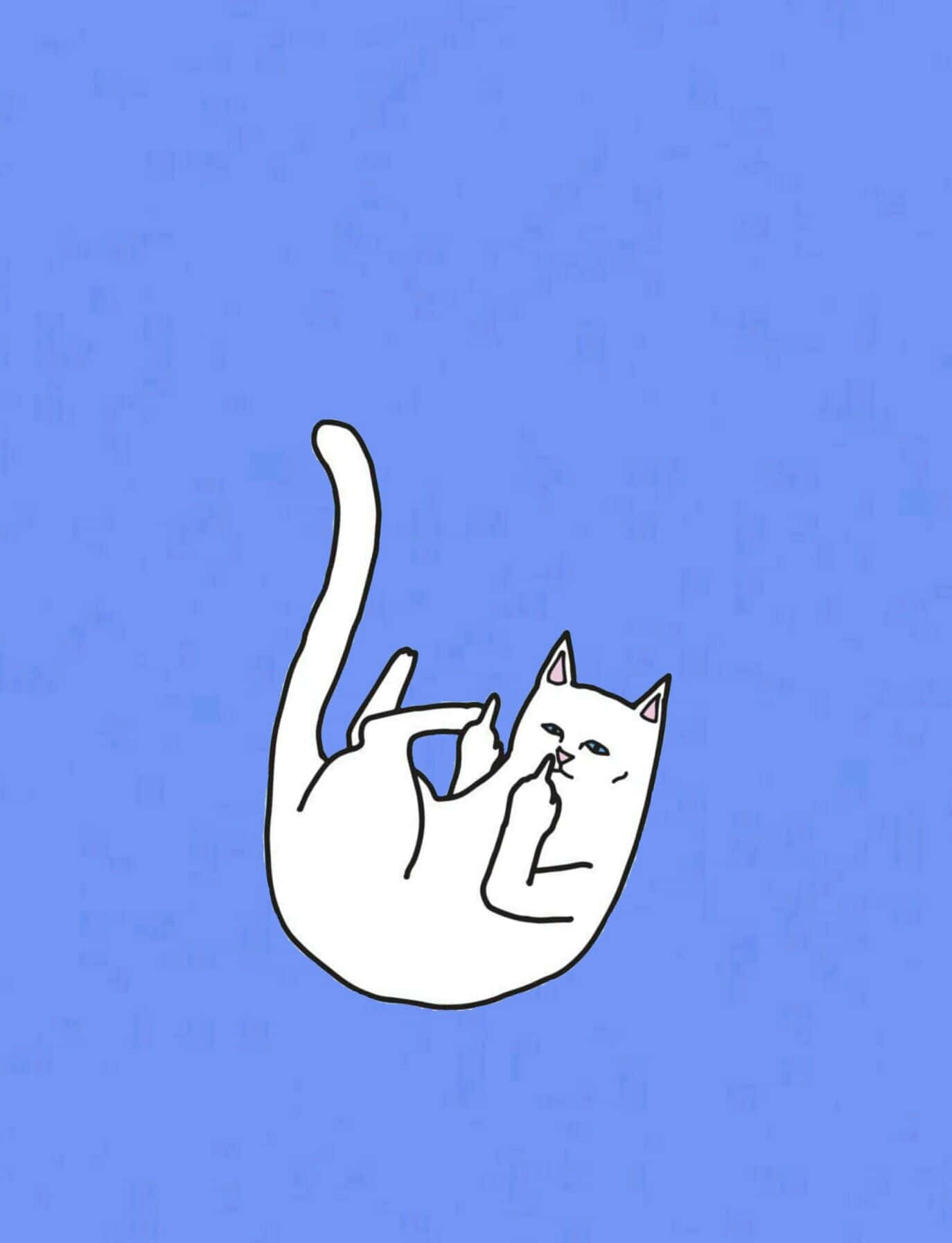 A White Cat Is Laying On Its Back On A Blue Background